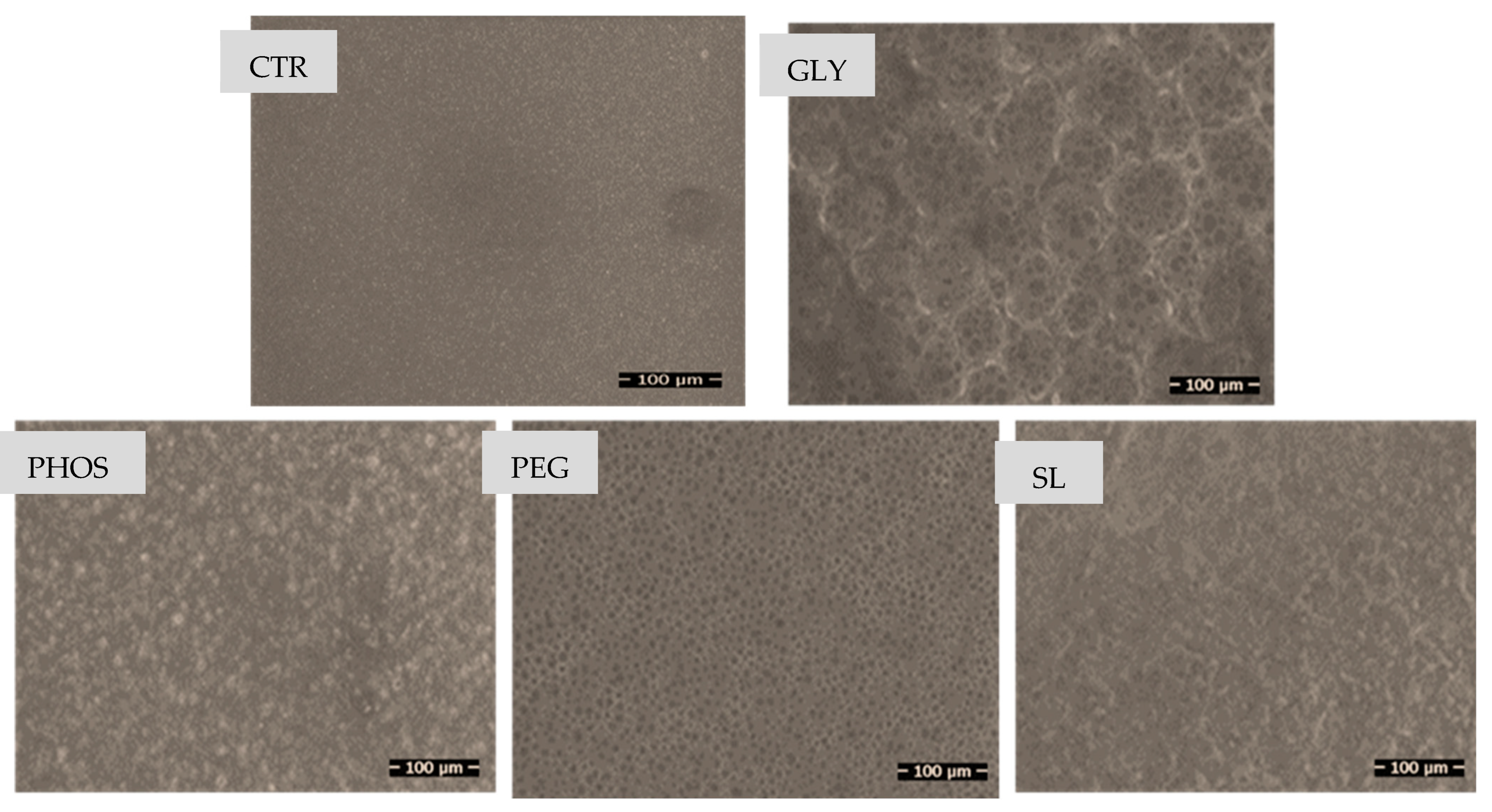 Polymers 17 03071 g003