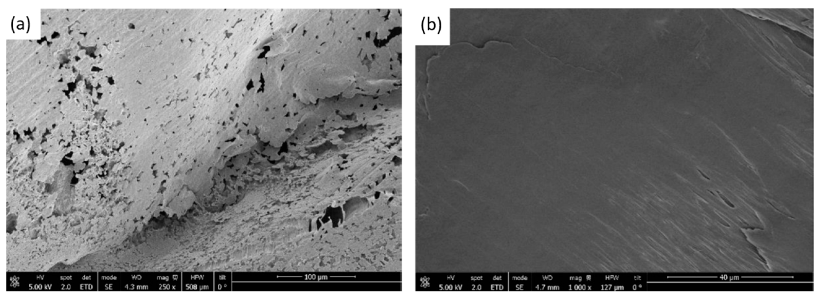 Polymers 17 03076 g004