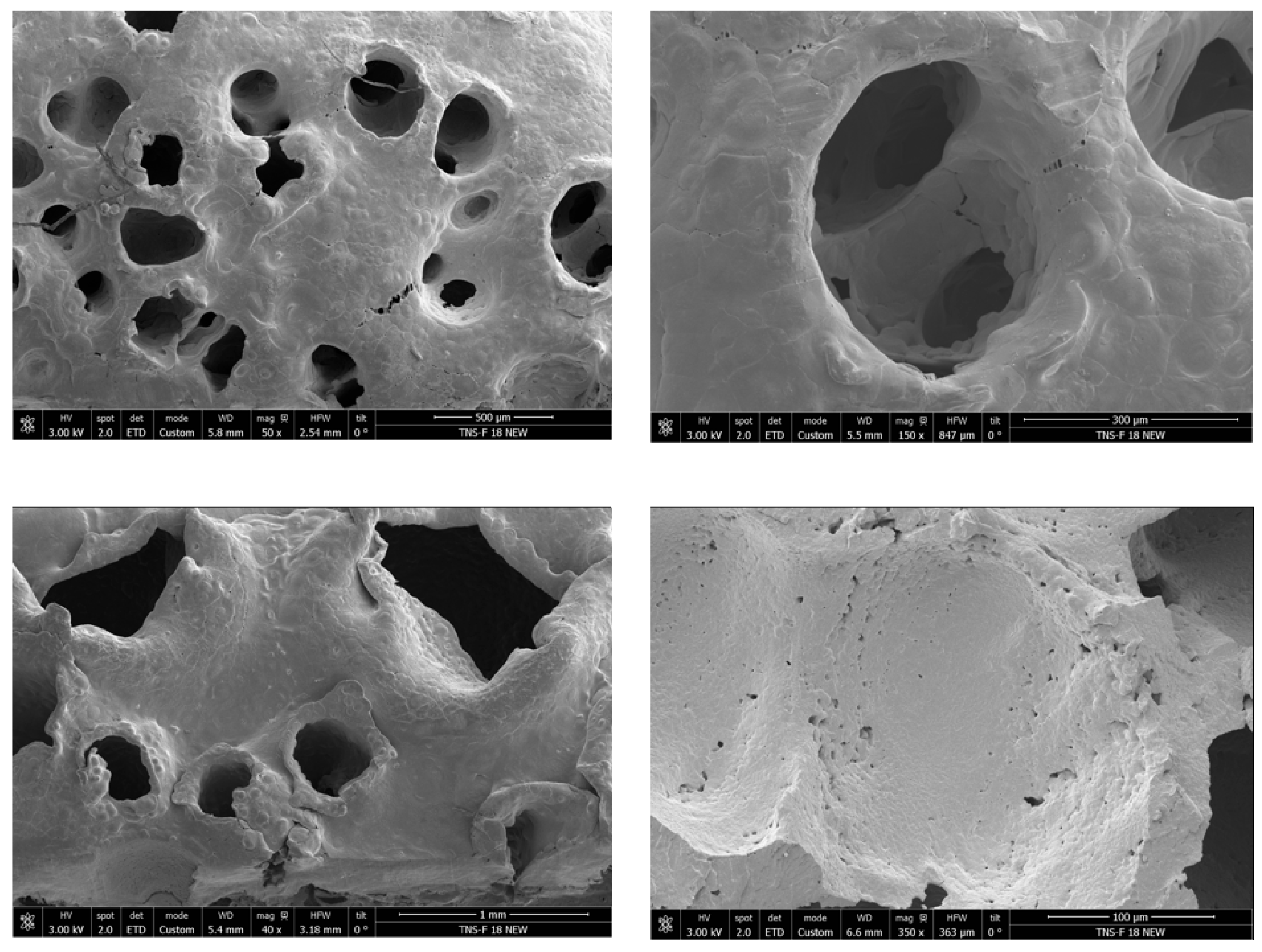Polymers 17 03076 g005