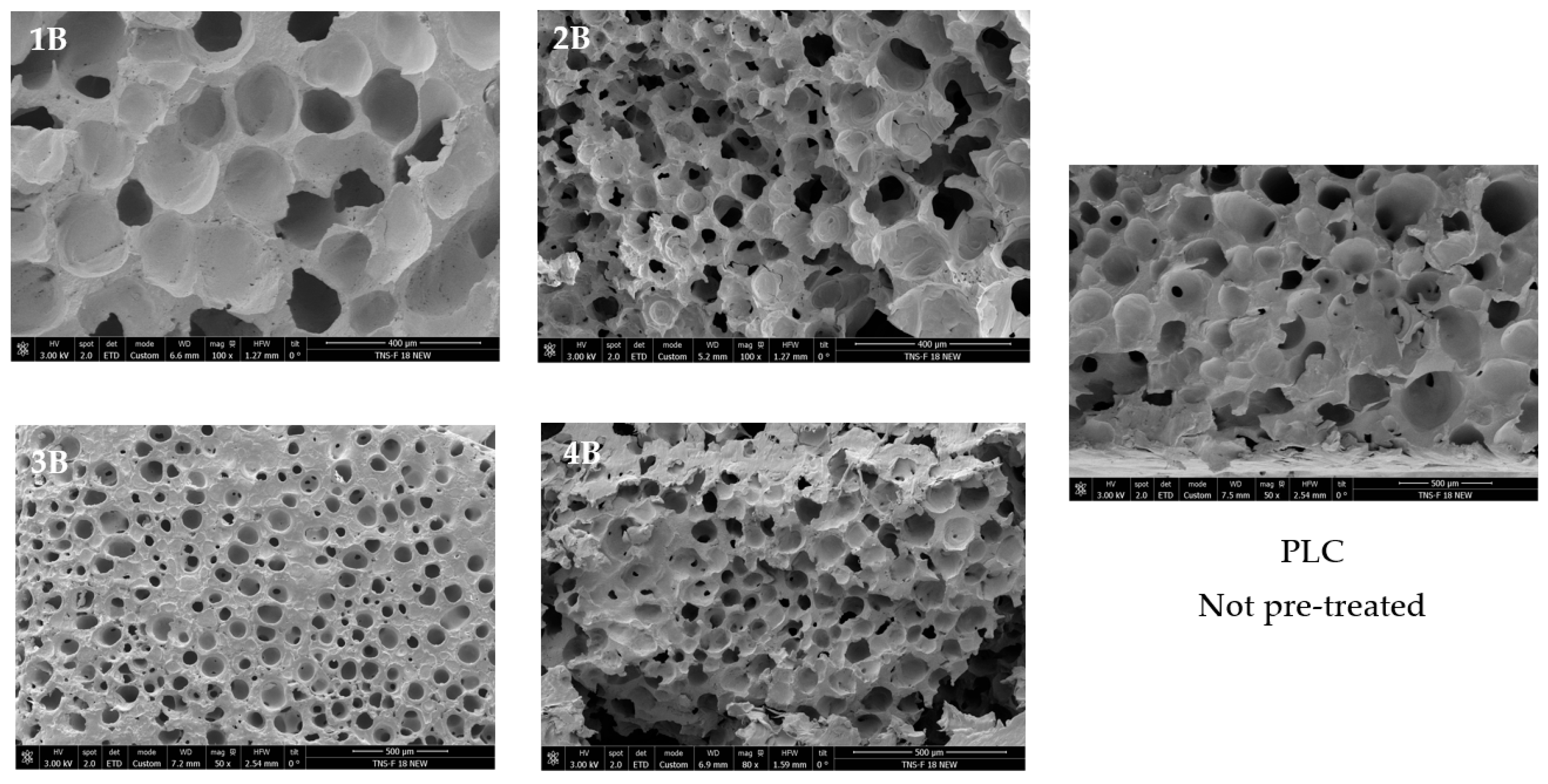 Polymers 17 03076 g006