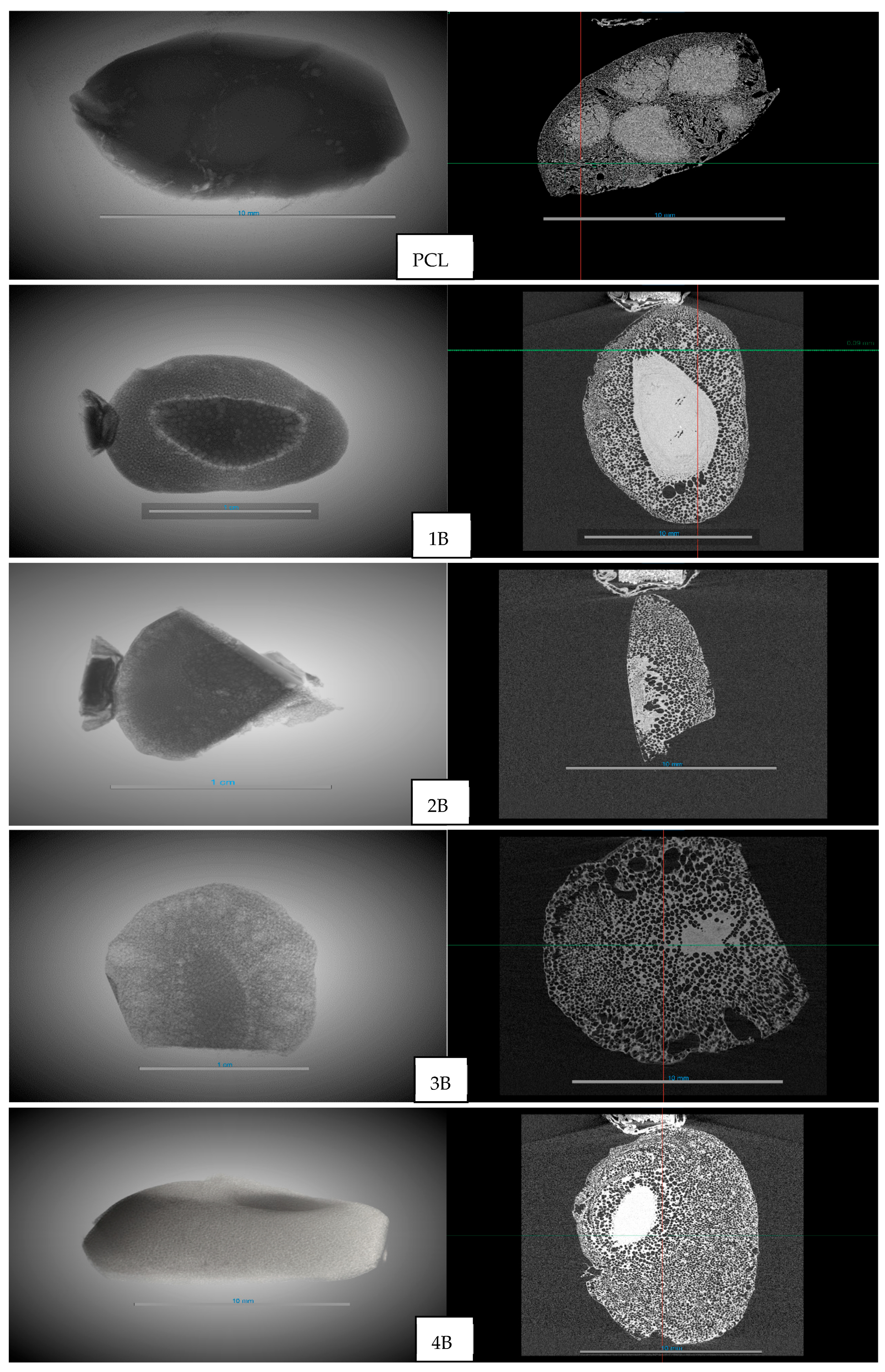 Polymers 17 03076 g007