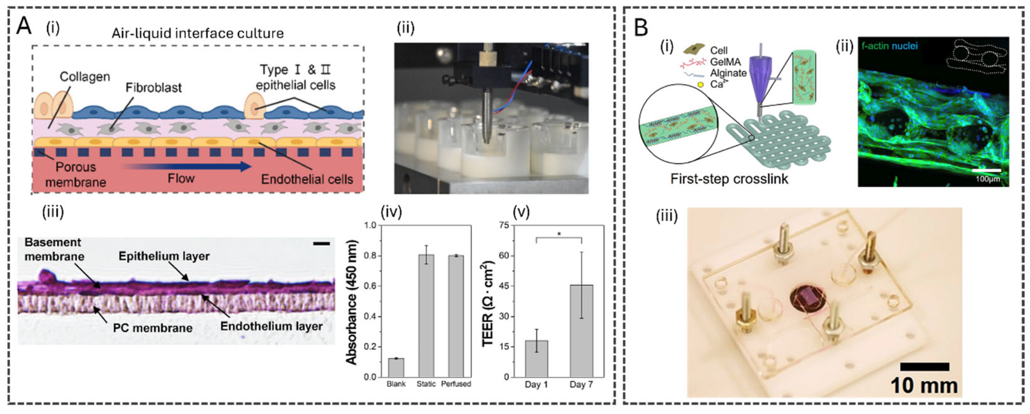 Polymers 17 03078 g005