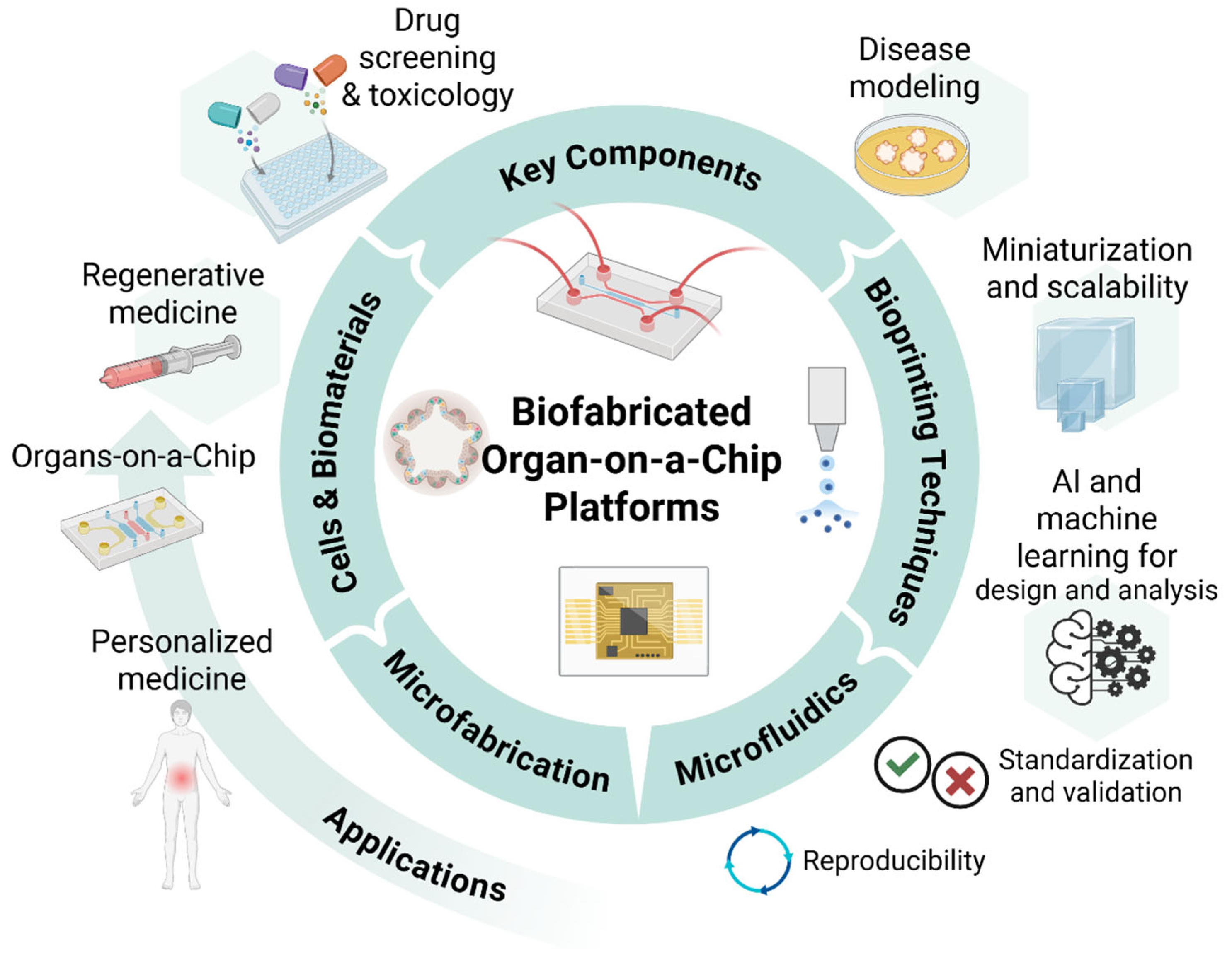 Polymers 17 03078 g006