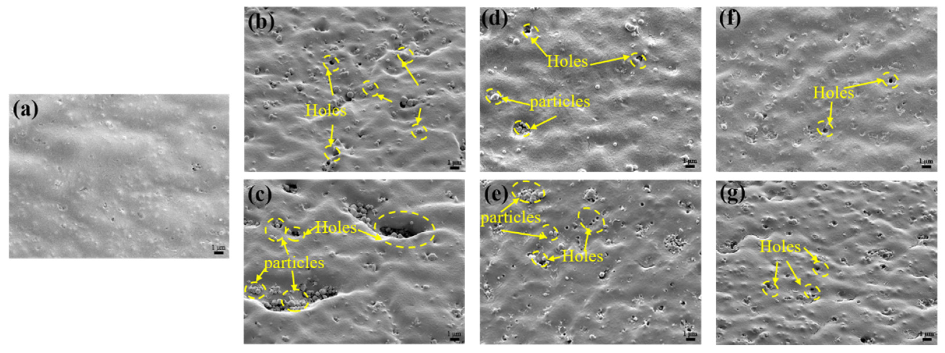 Polymers 17 03081 g003