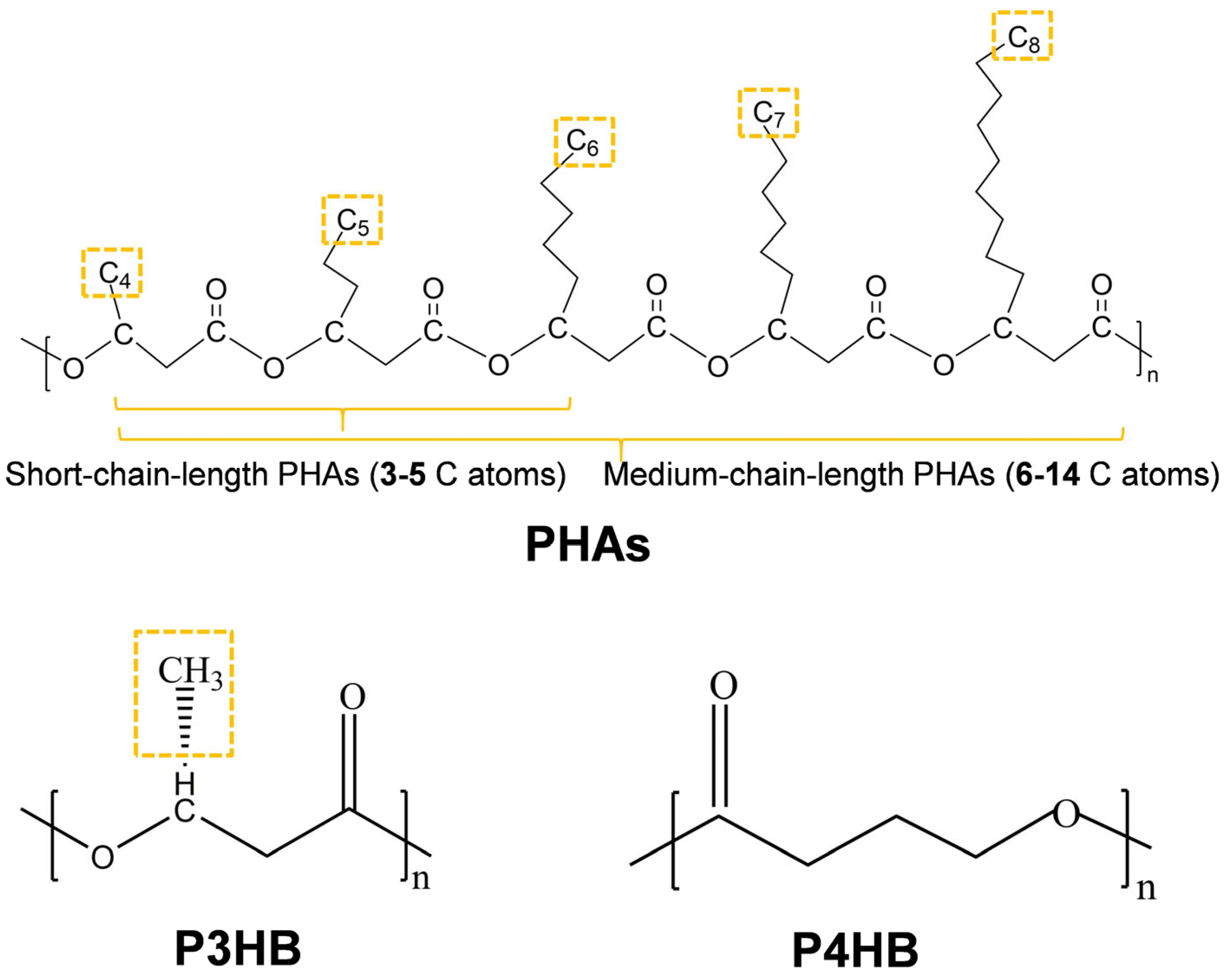 Polymers 17 03083 g002