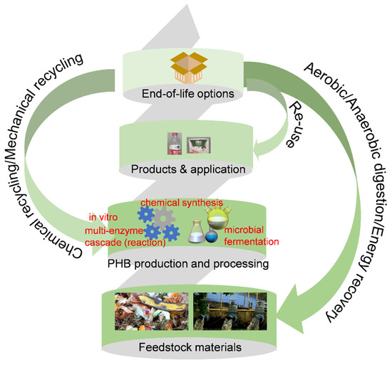 Review of Biopolymer Polyhydroxybutyrate (PHB) and Blends: Modification ...