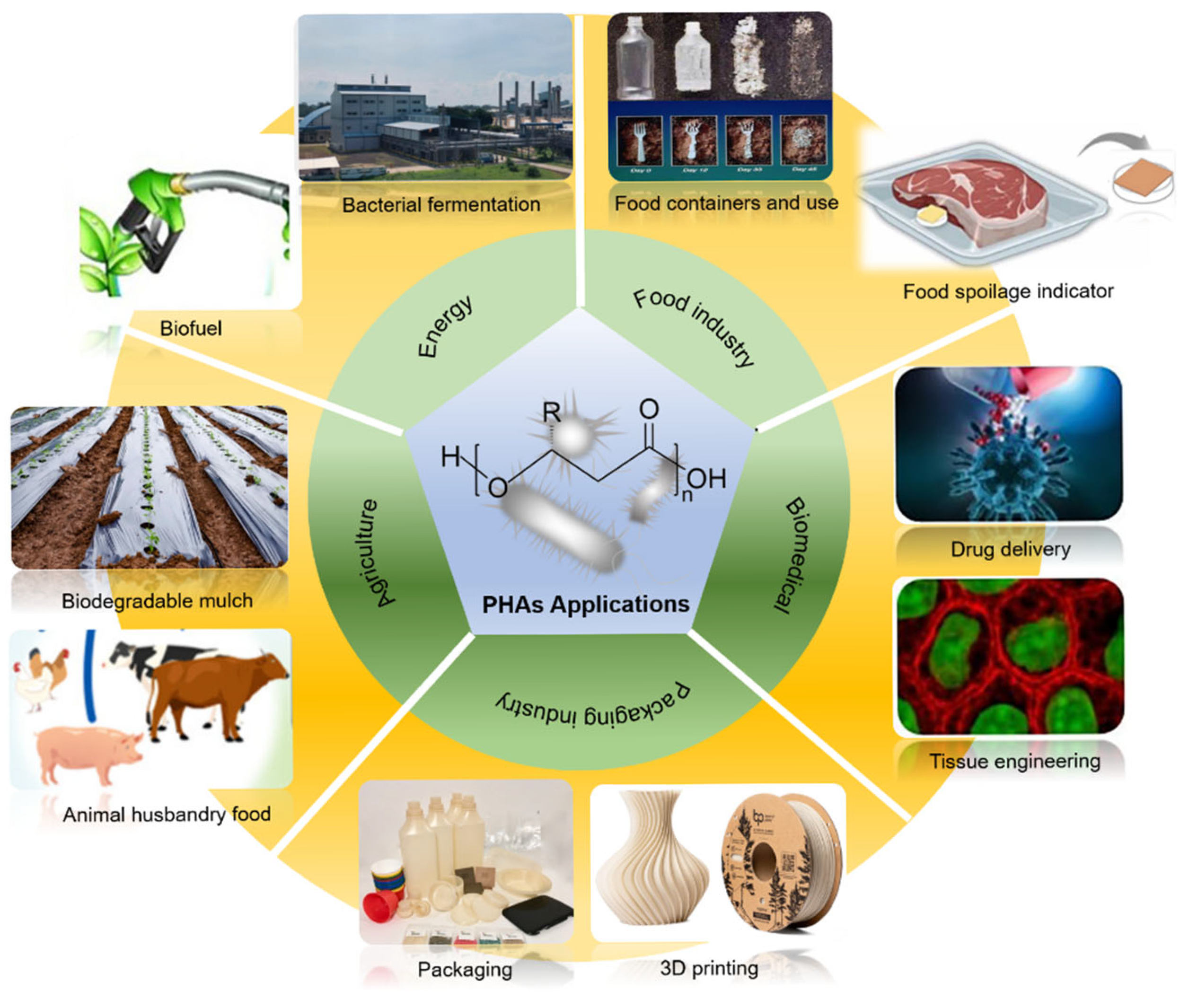 Polymers 17 03083 g005