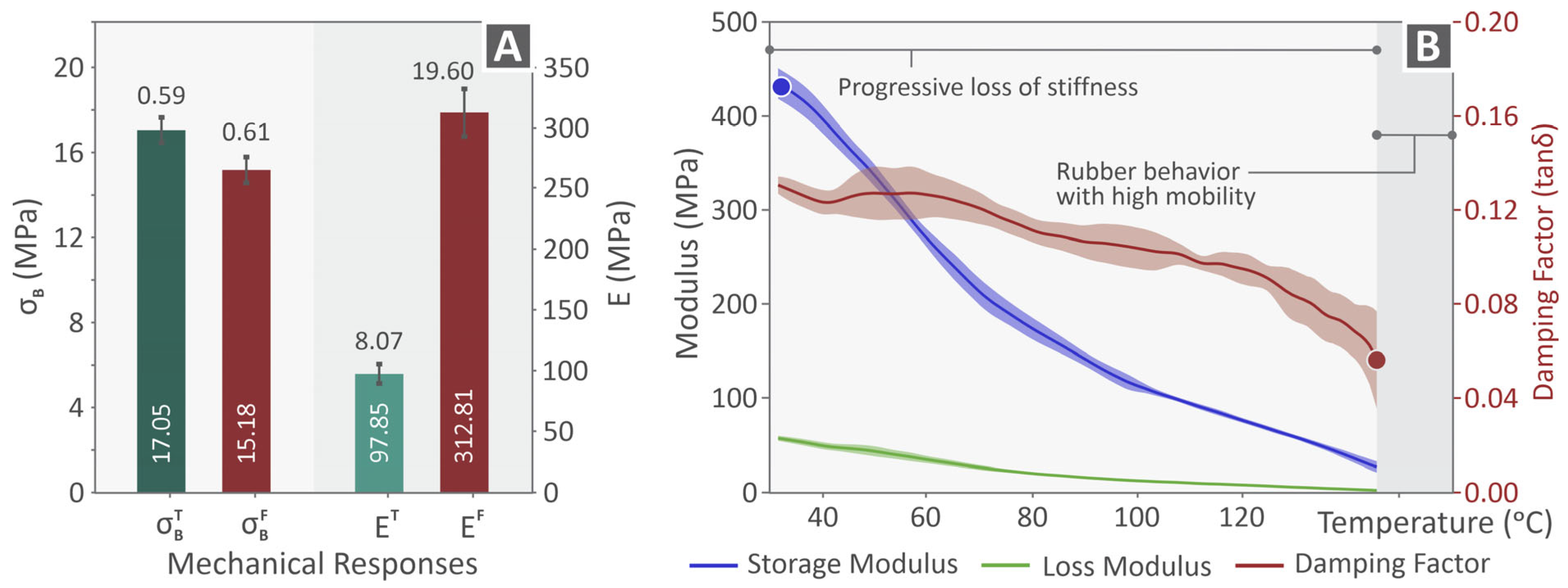 Polymers 17 03085 g005