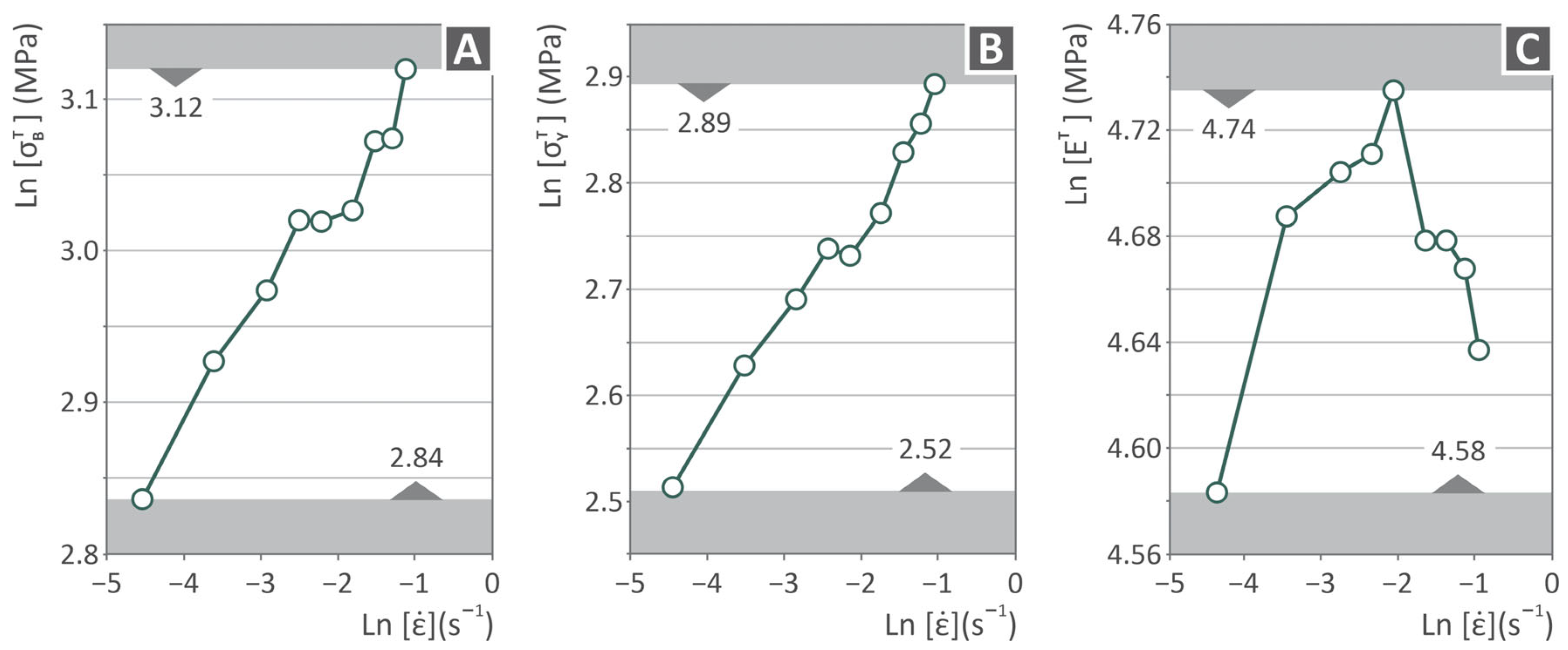 Polymers 17 03085 g007