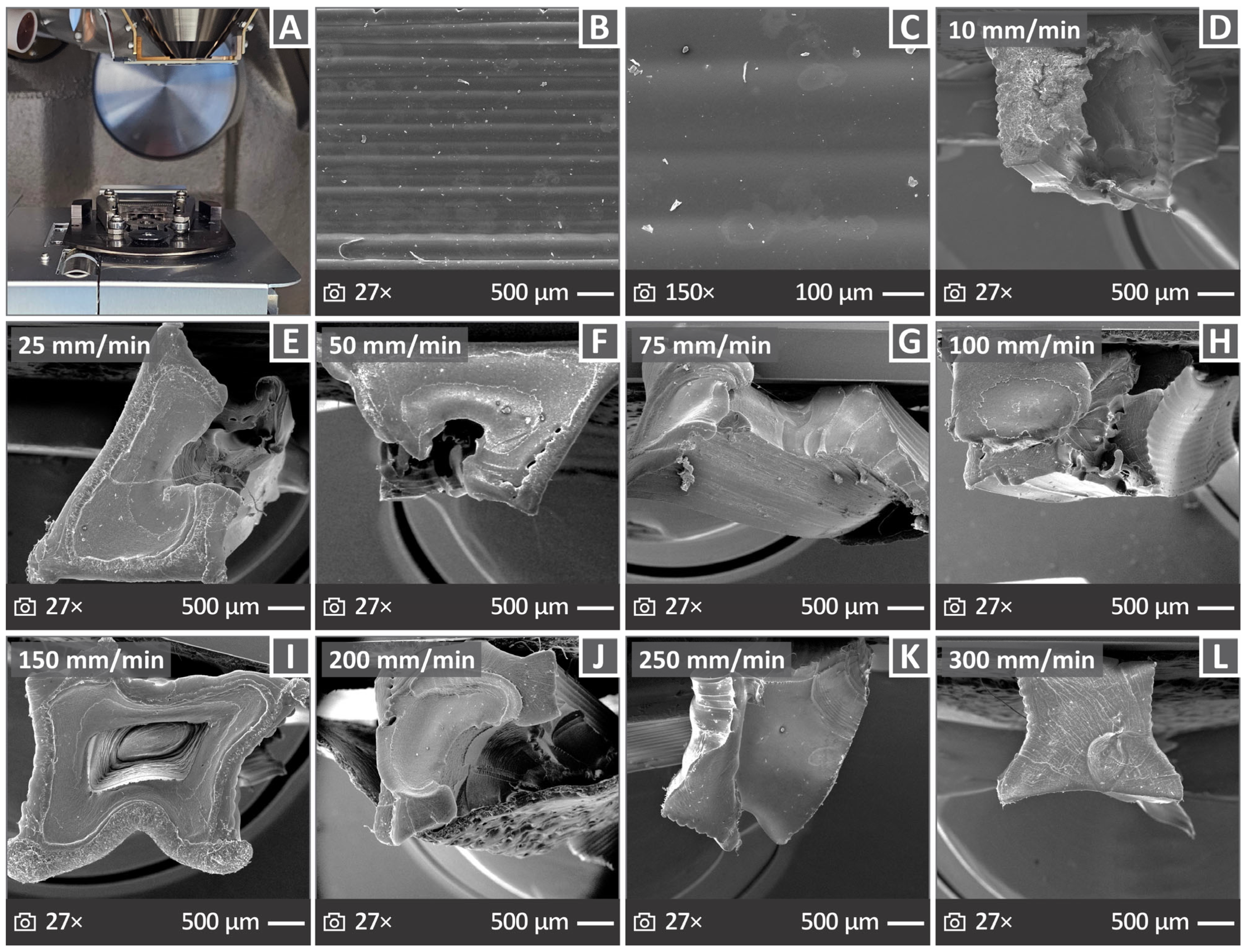 Polymers 17 03085 g009