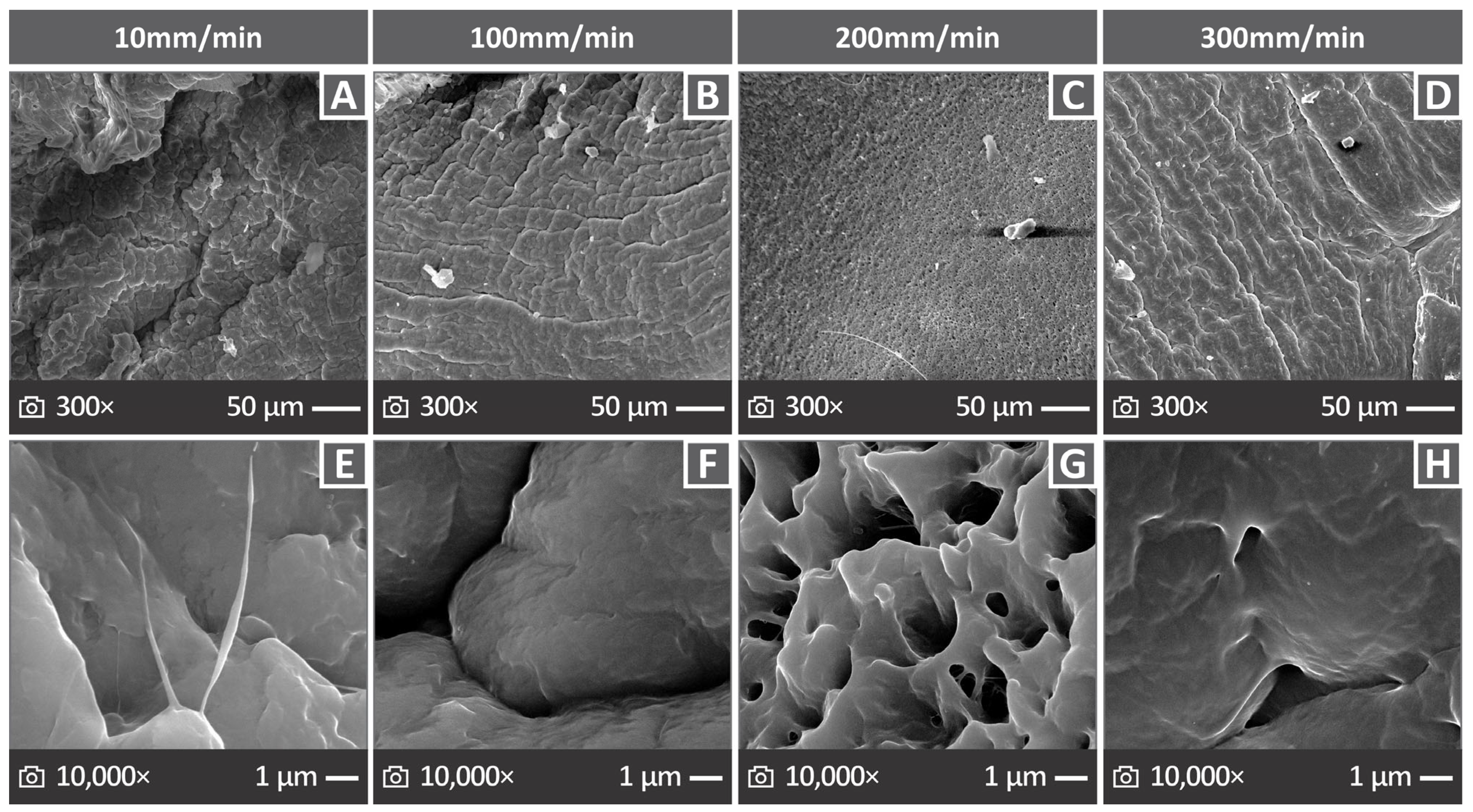 Polymers 17 03085 g010