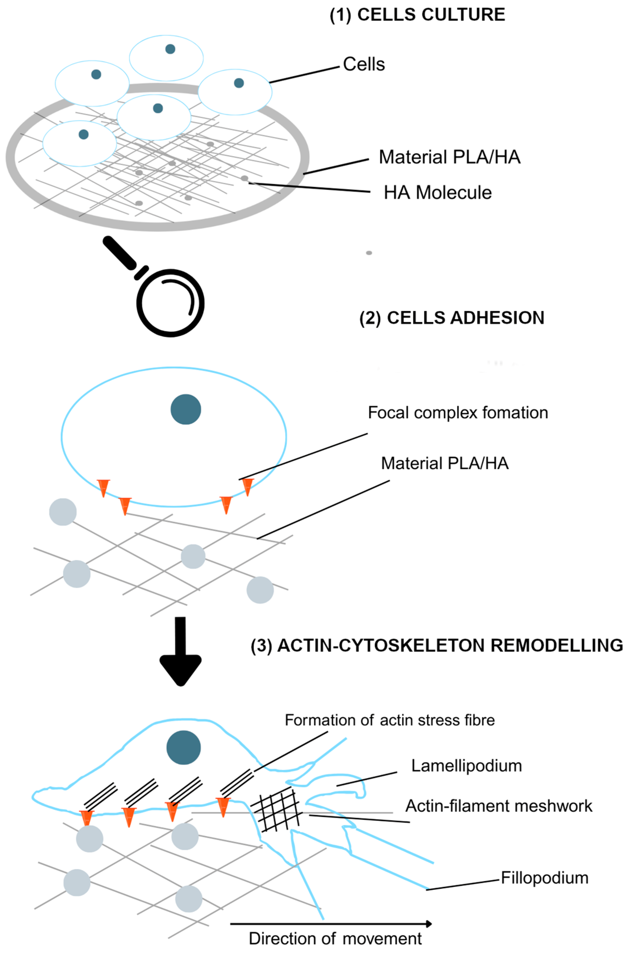 Polymers 17 03088 g001