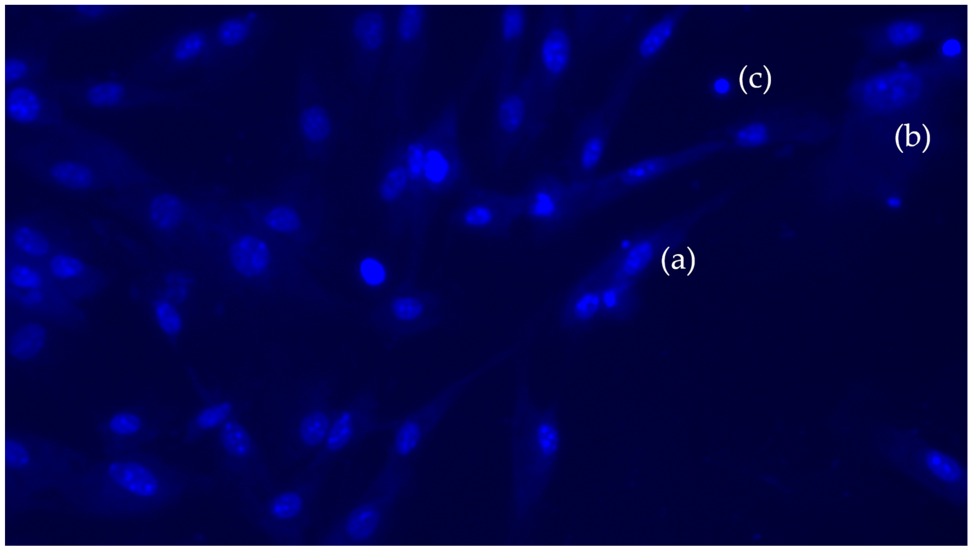 Polymers 17 03088 g009