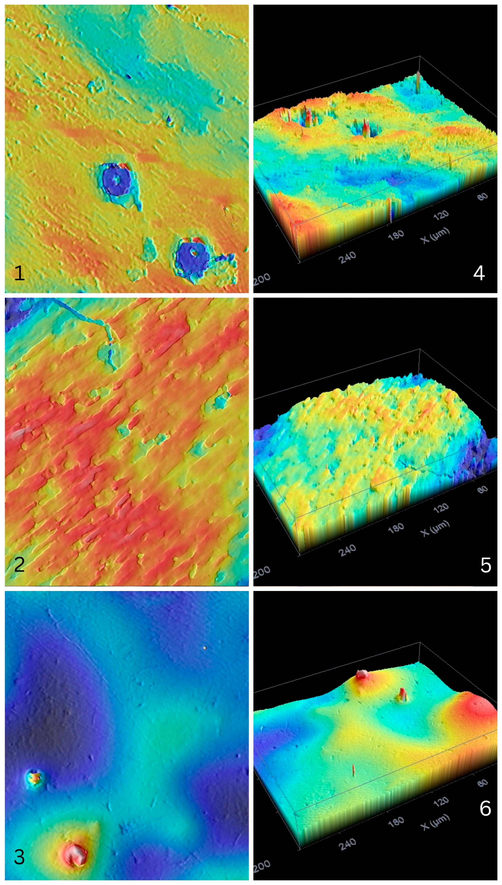 Polymers 17 03088 g013