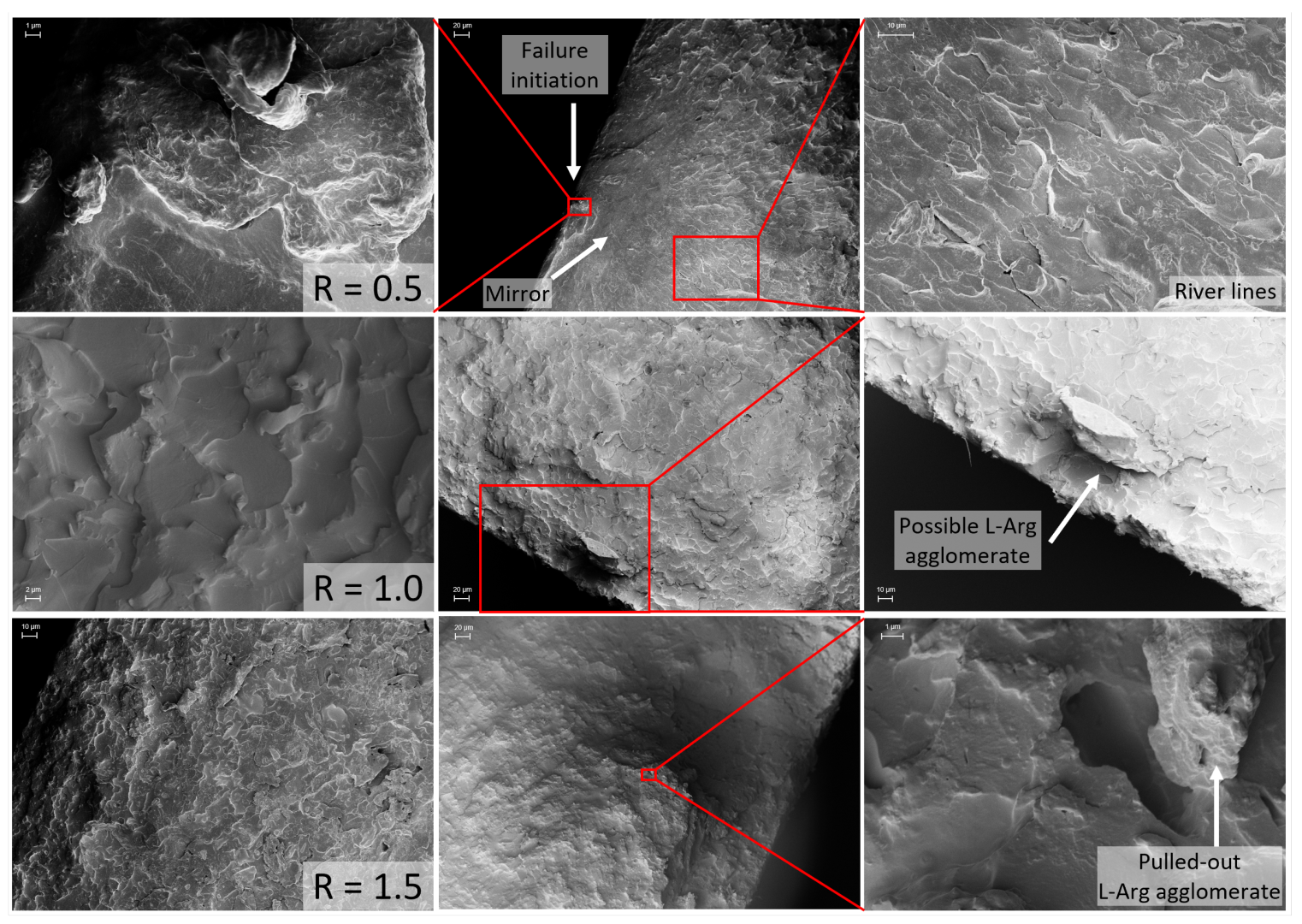 Polymers 17 03089 g008