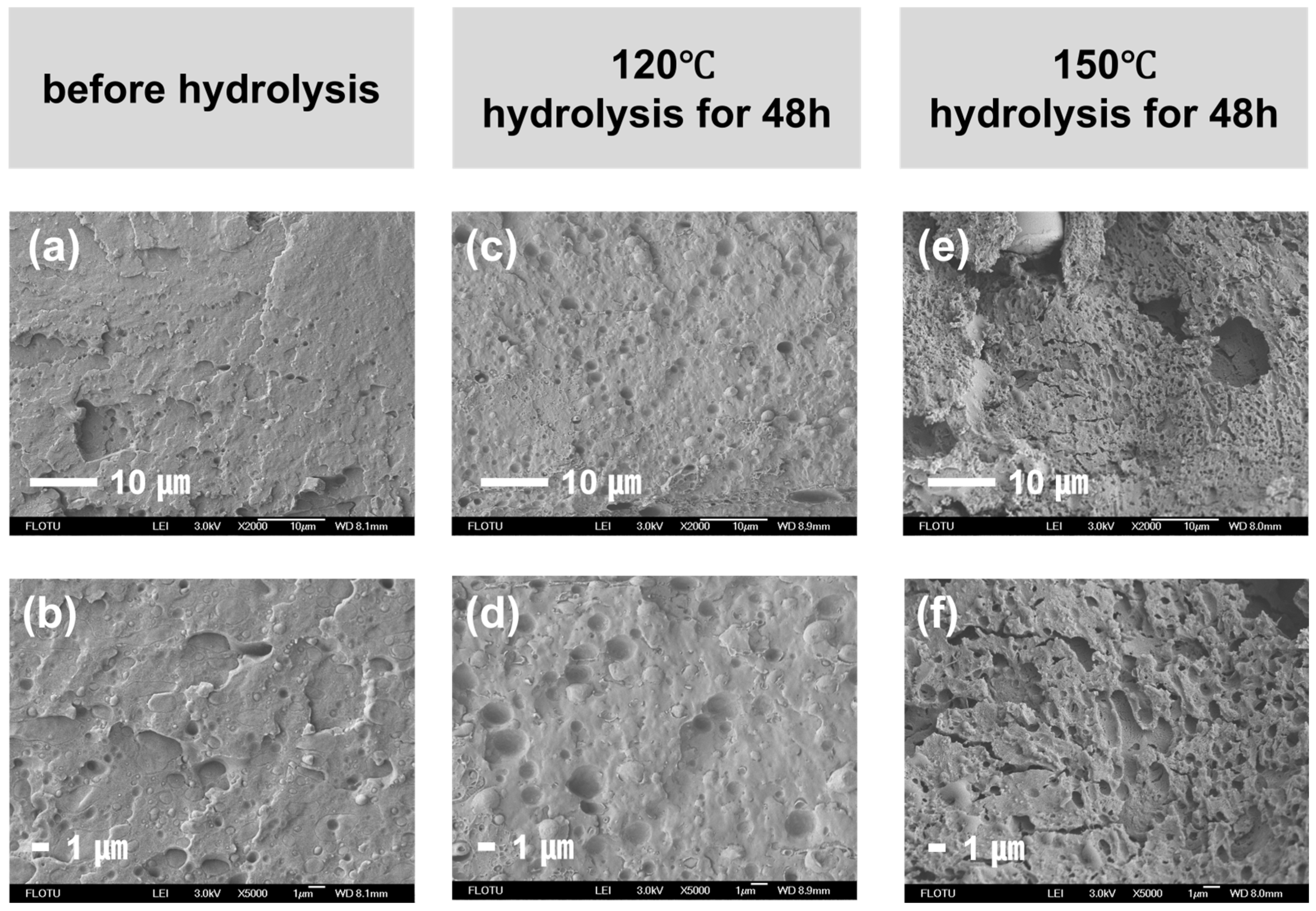 Polymers 17 03090 g007