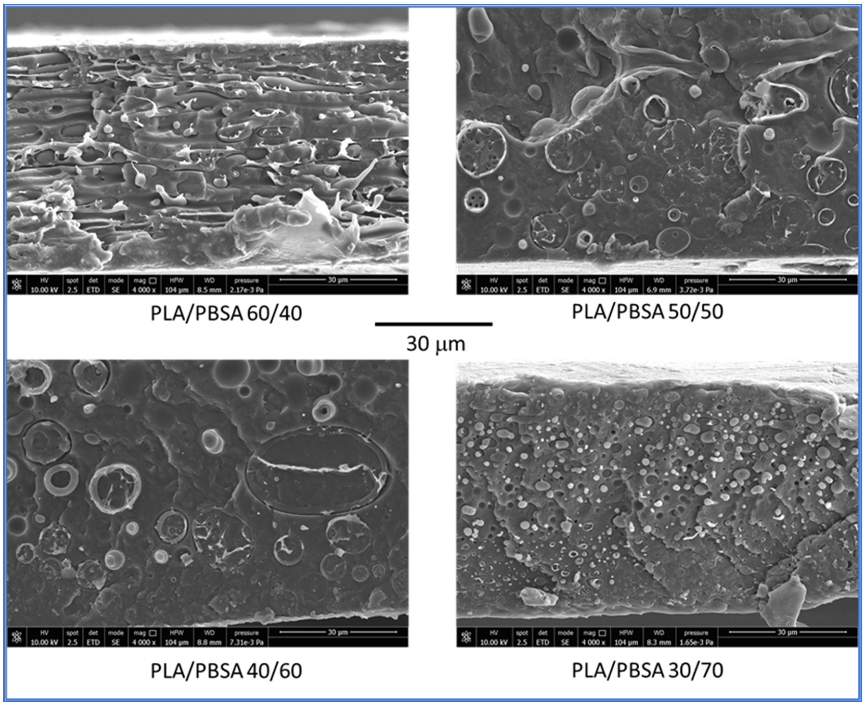 Polymers 17 03093 g002