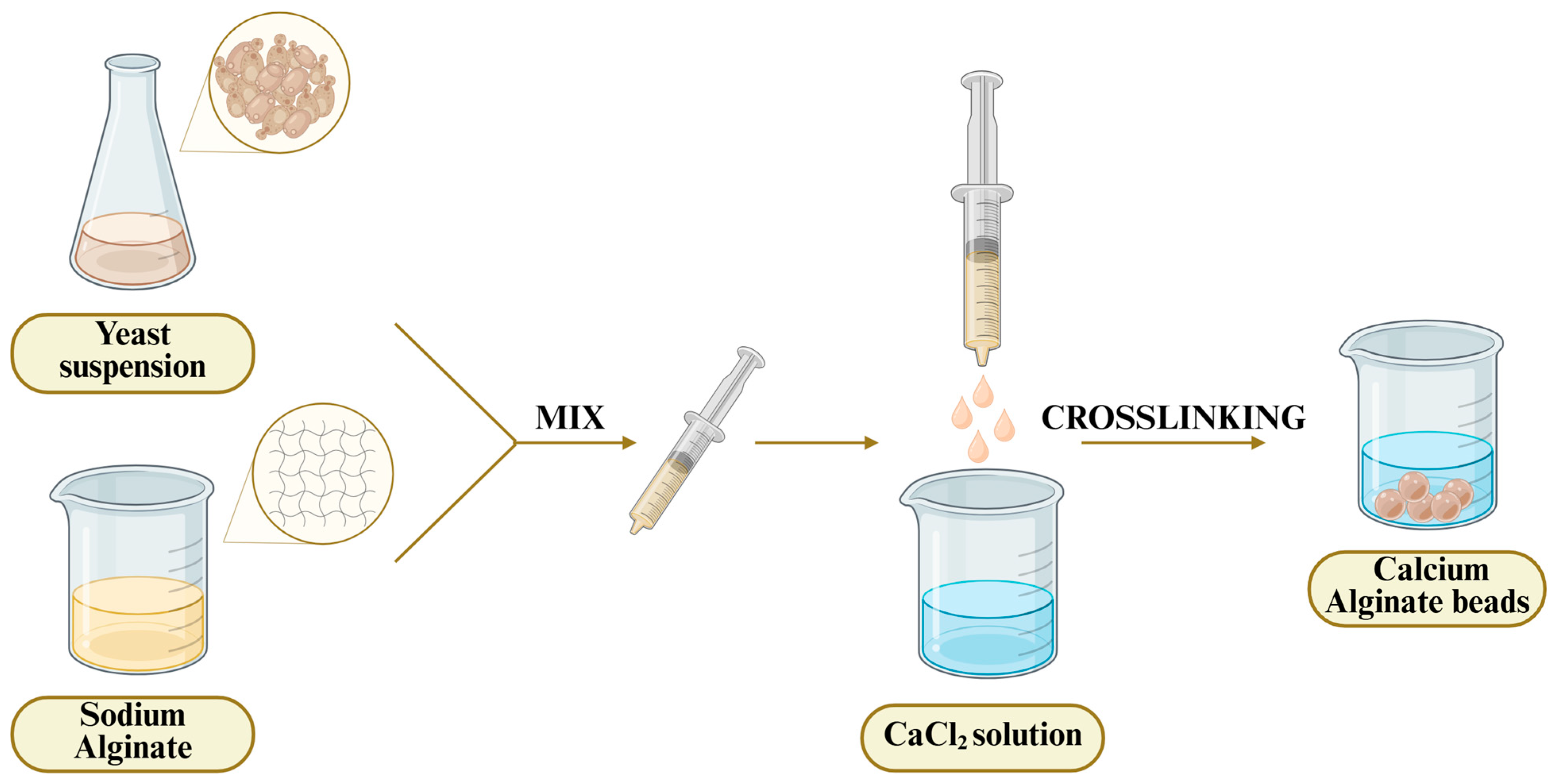 Polymers 17 03094 g001