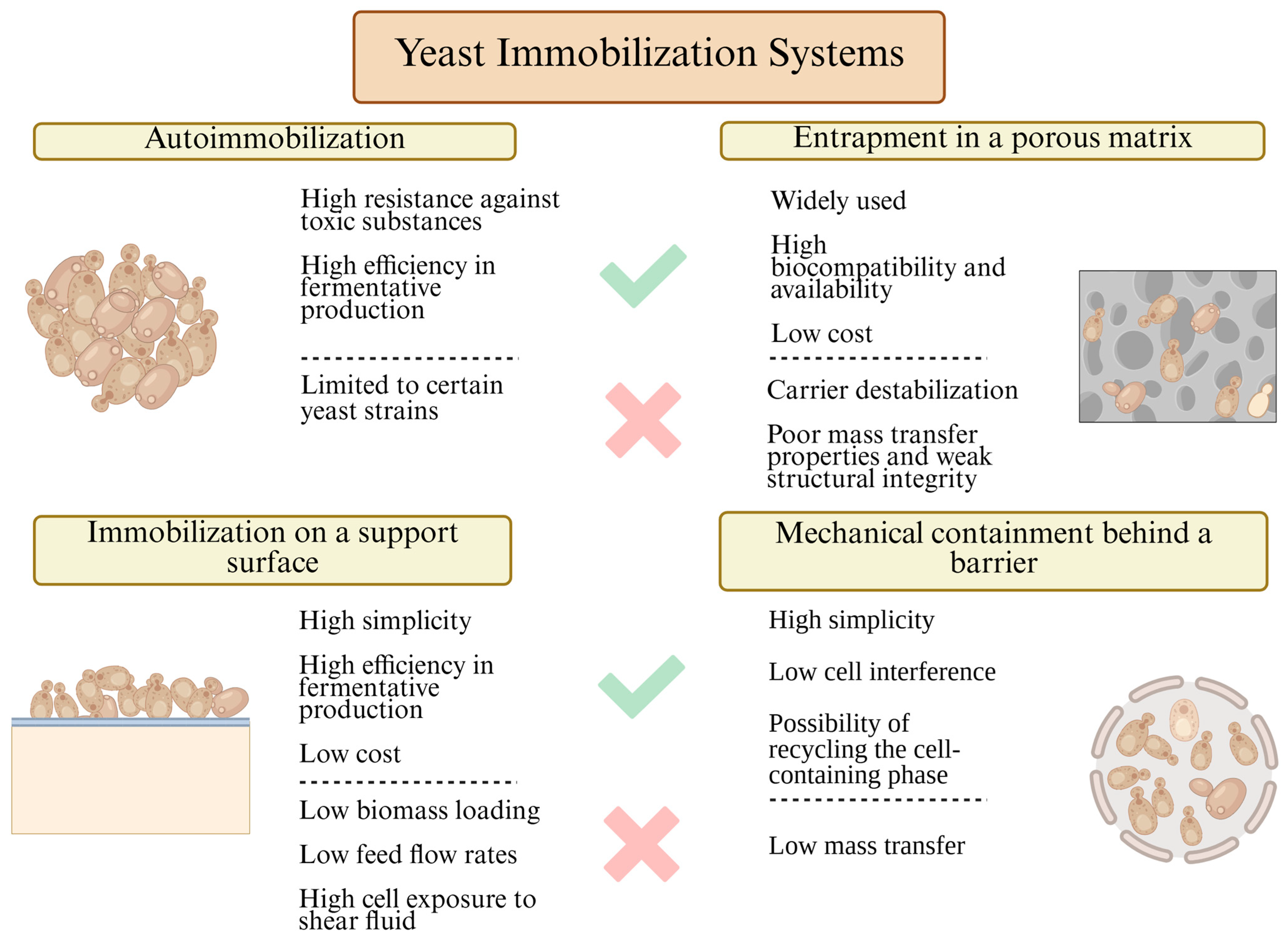 Polymers 17 03094 g002
