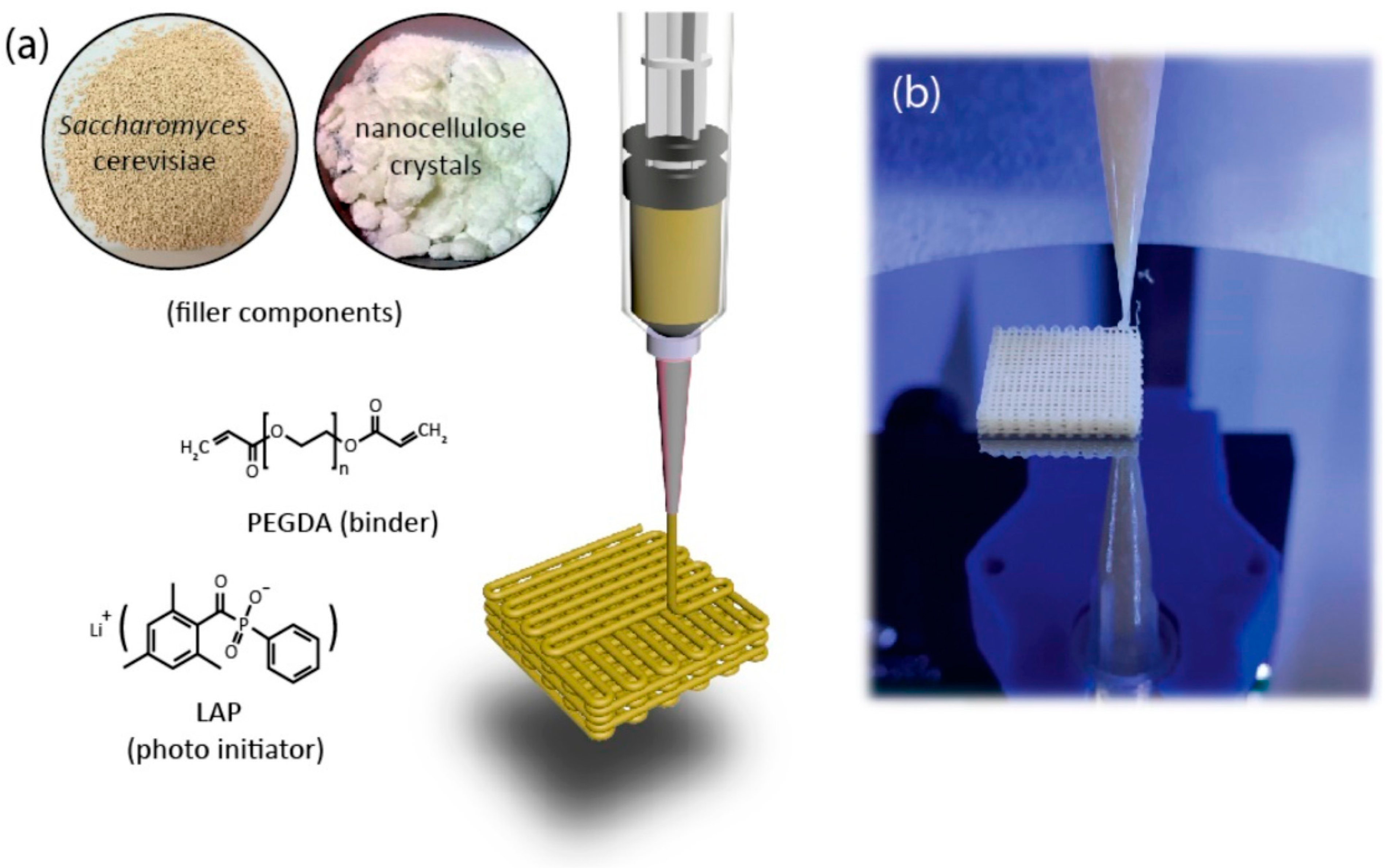 Polymers 17 03094 g004