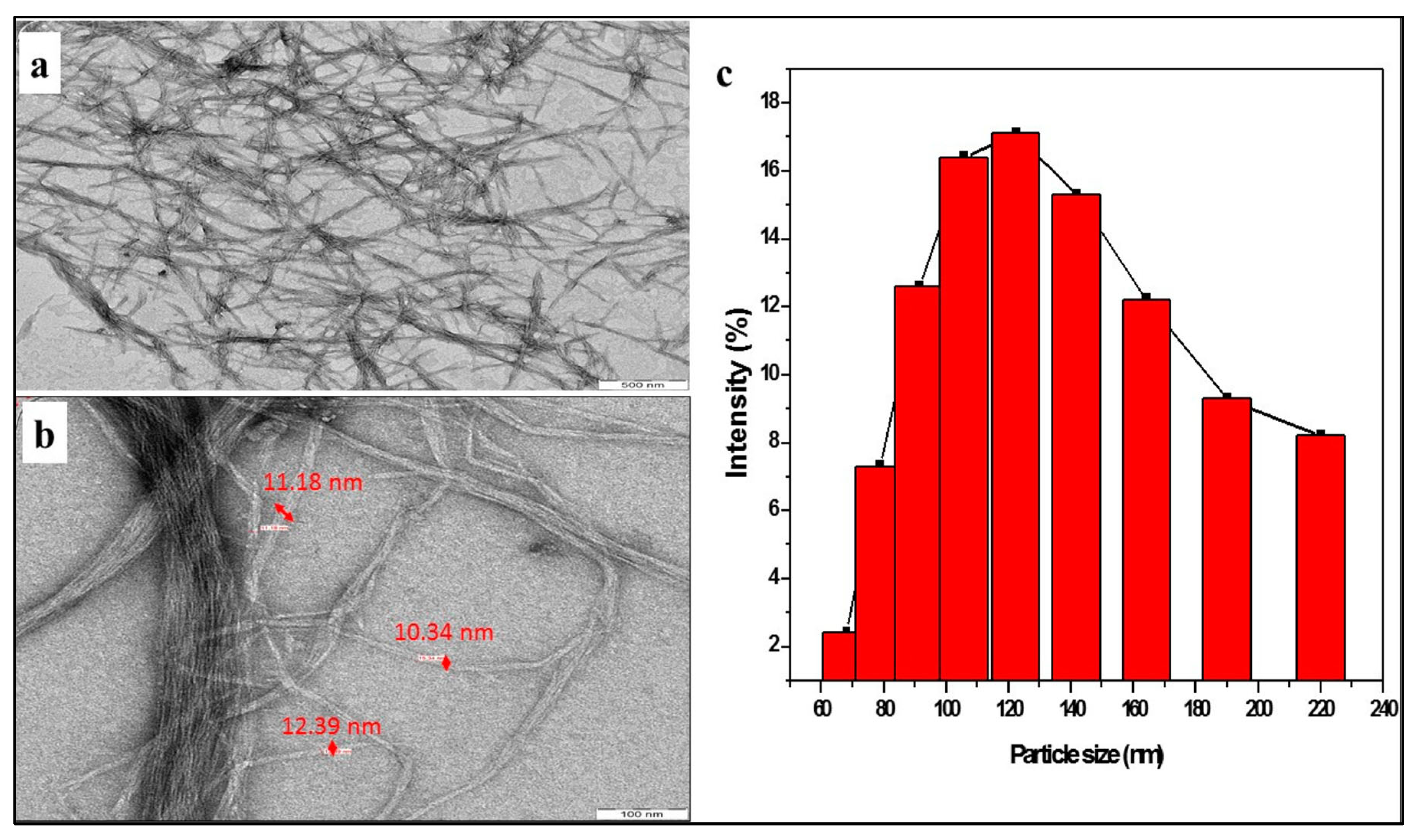 Polymers 17 03098 g009