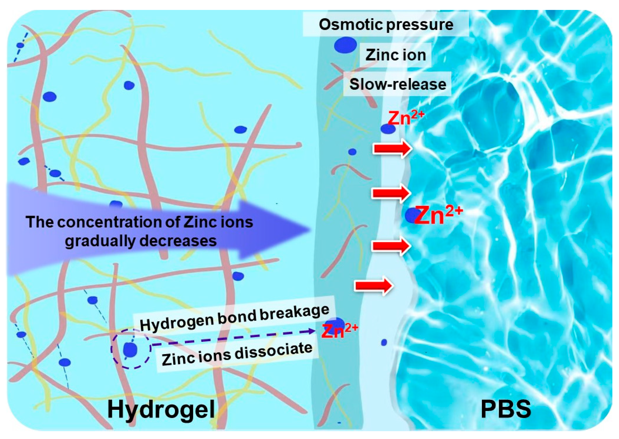 Polymers 17 03099 g008