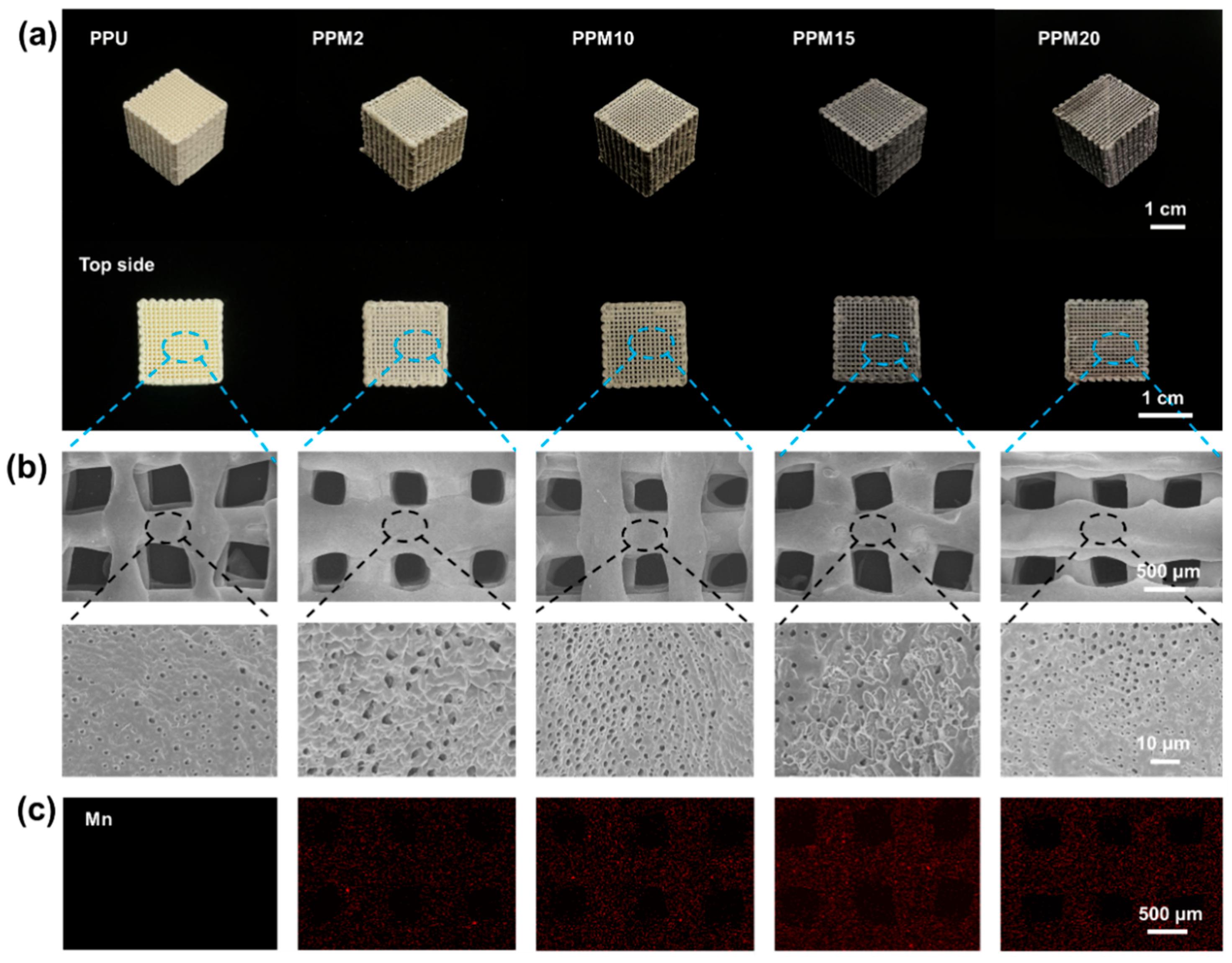 Polymers 17 03101 g002 Polymers 17 03101 g002