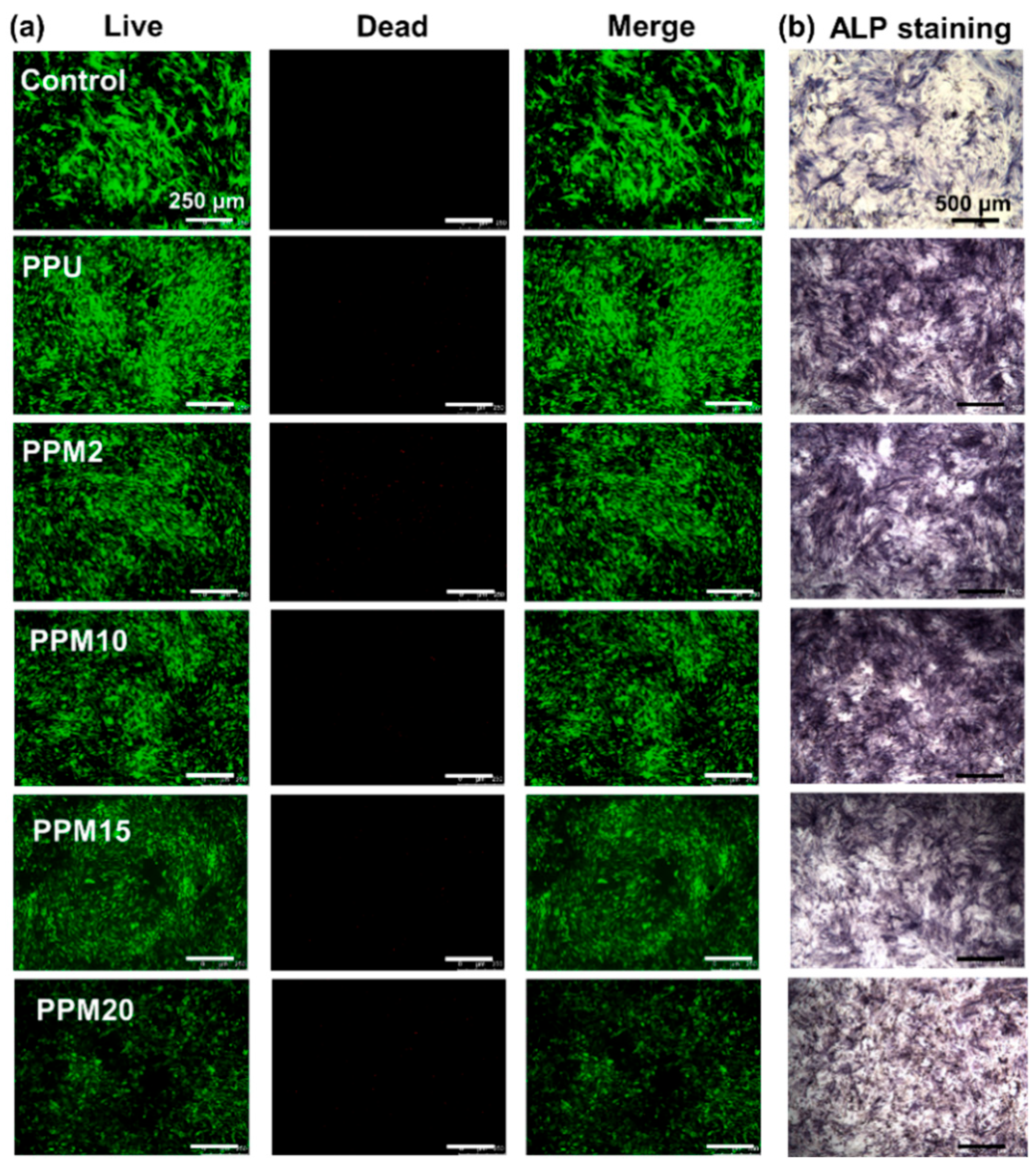 Polymers 17 03101 g006 Polymers 17 03101 g006