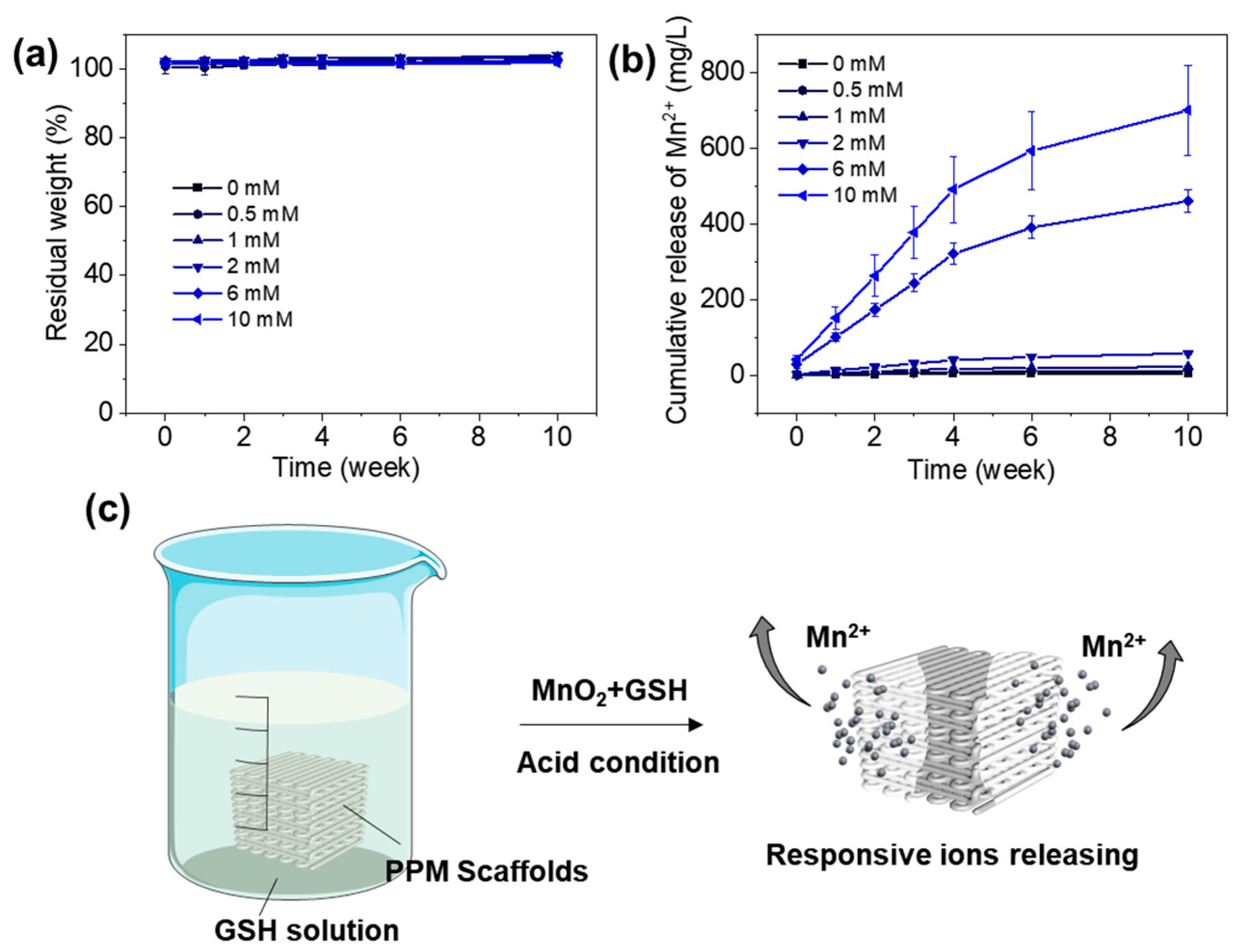 Polymers 17 03101 g007 Polymers 17 03101 g007