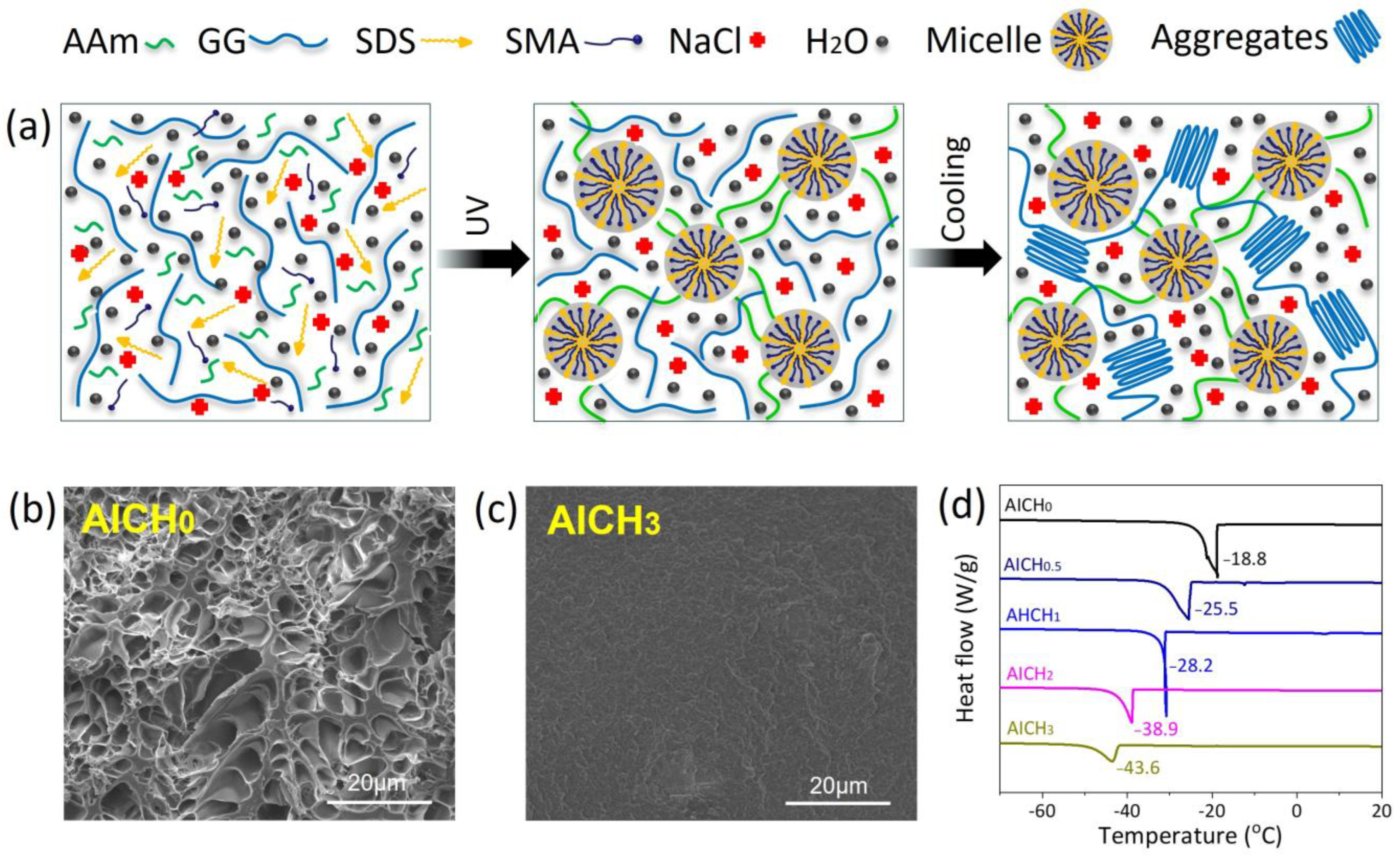 Polymers 17 03102 g001 Polymers 17 03102 g001