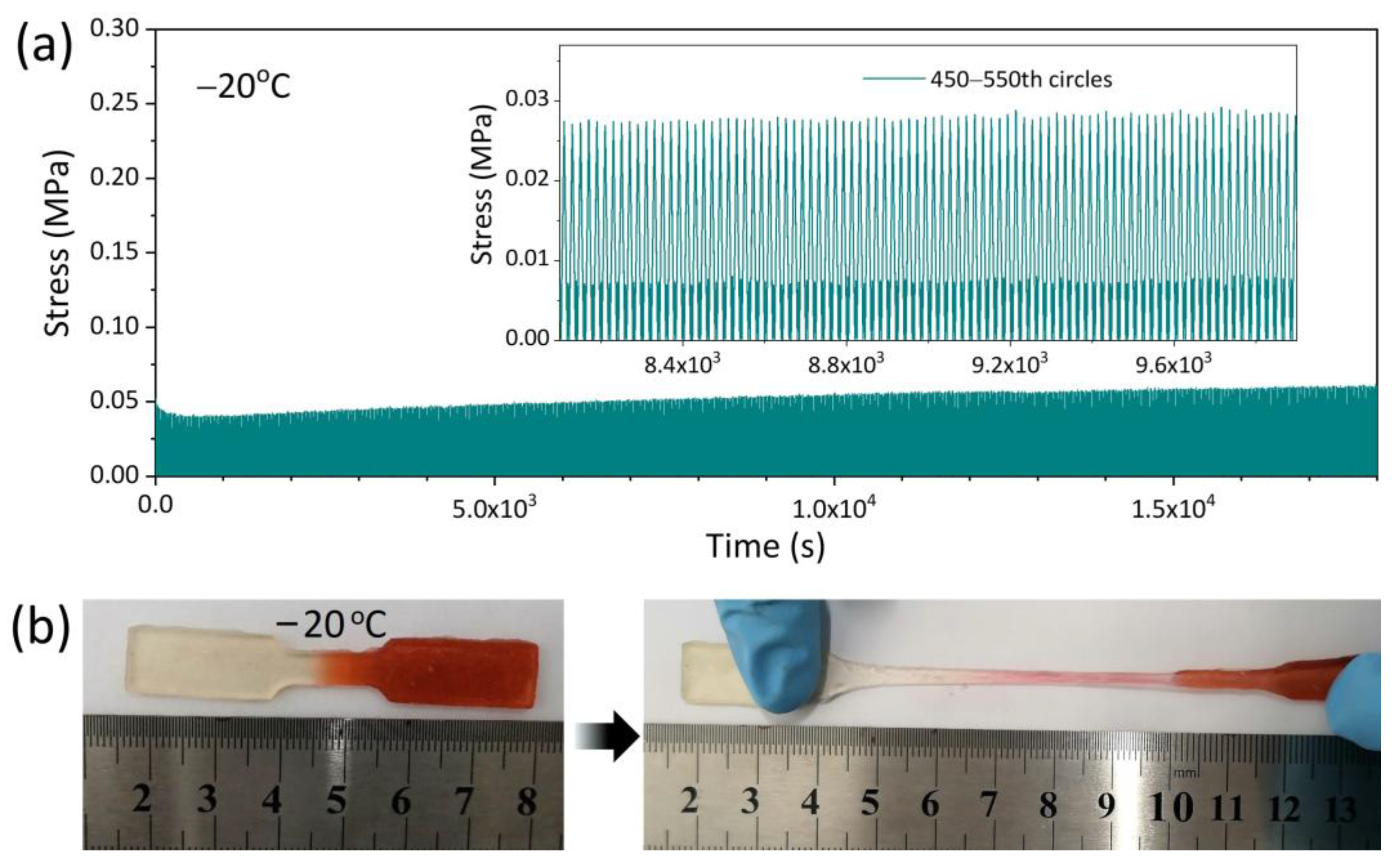 Polymers 17 03102 g003 Polymers 17 03102 g003