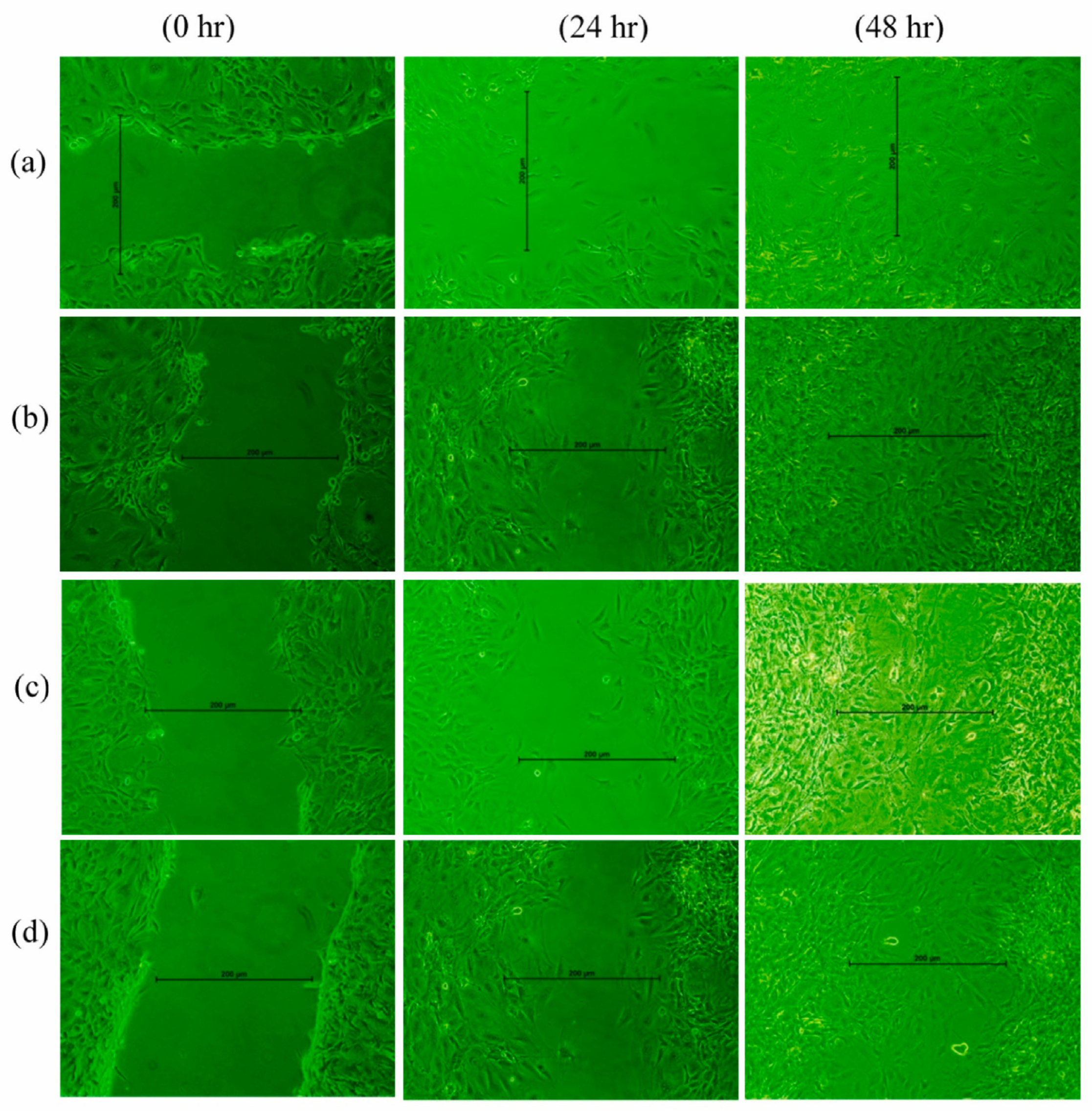 Polymers 17 03105 g004 Polymers 17 03105 g004