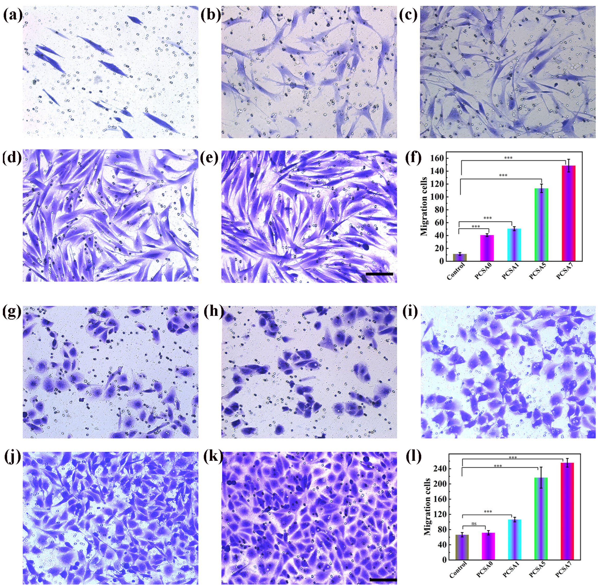 Polymers 17 03105 g005 Polymers 17 03105 g005