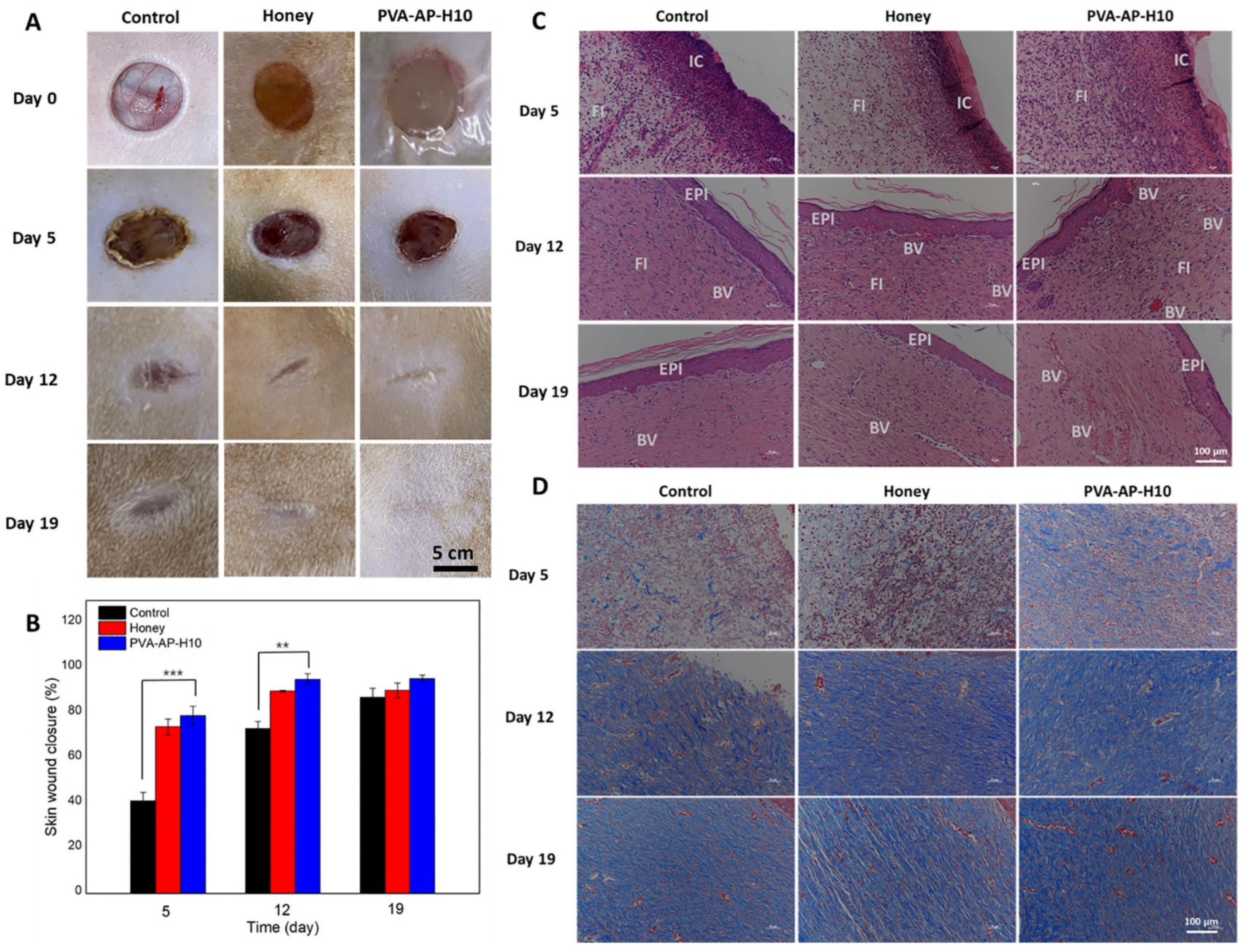 Polymers 17 03105 g006 Polymers 17 03105 g006