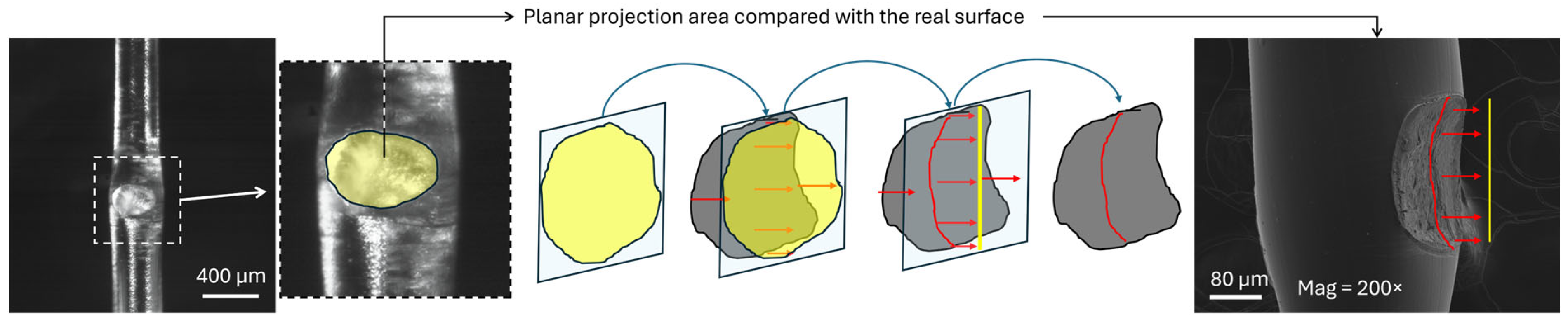 Polymers 17 03106 g007 Polymers 17 03106 g007