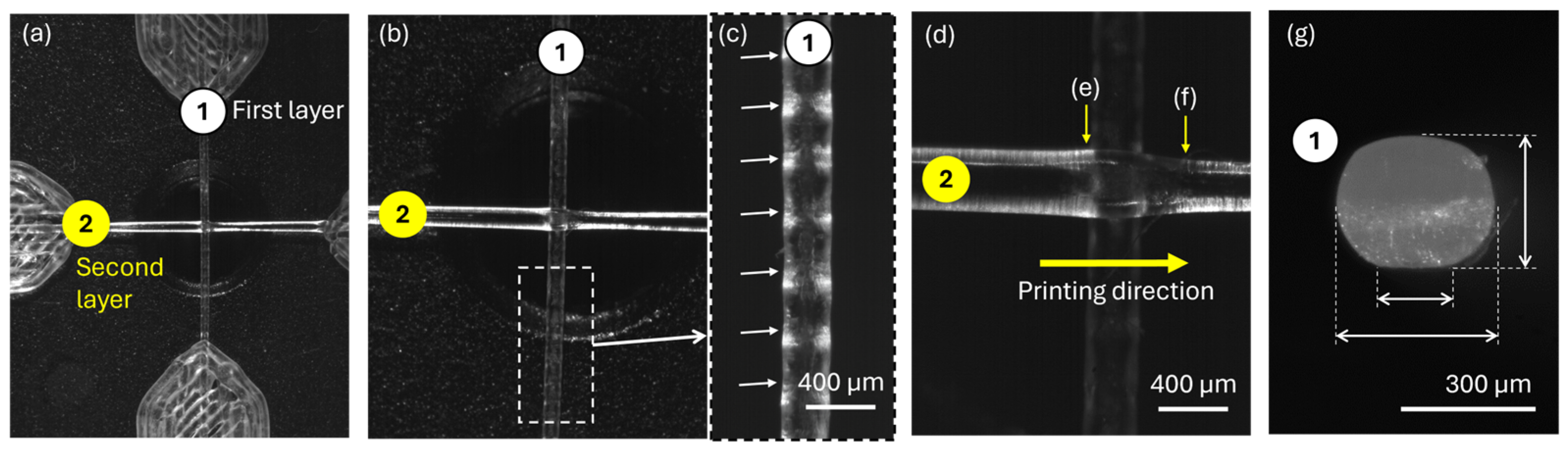 Polymers 17 03106 g010 Polymers 17 03106 g010