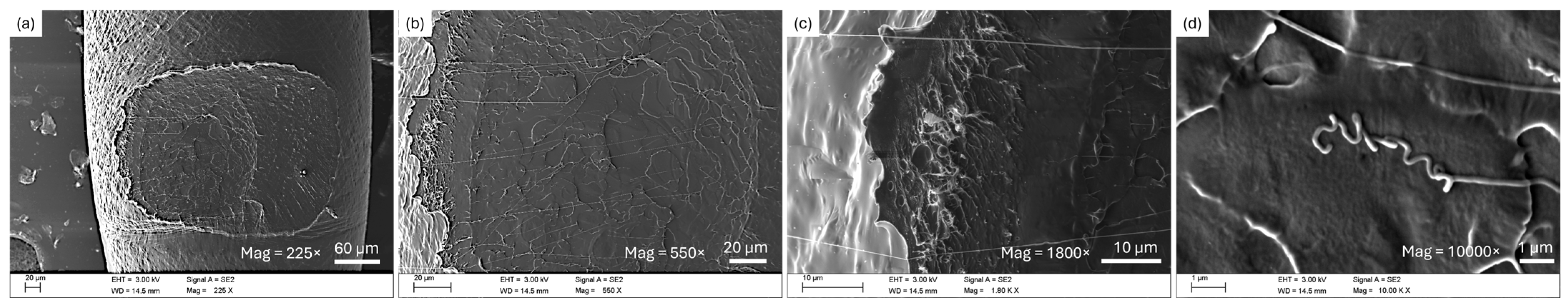 Polymers 17 03106 g018 Polymers 17 03106 g018