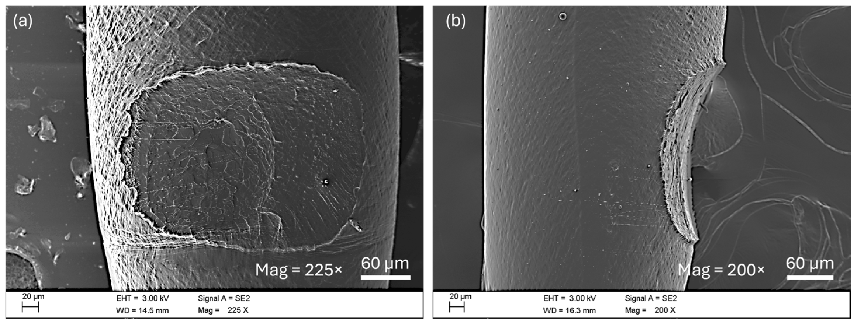 Polymers 17 03106 g019 Polymers 17 03106 g019