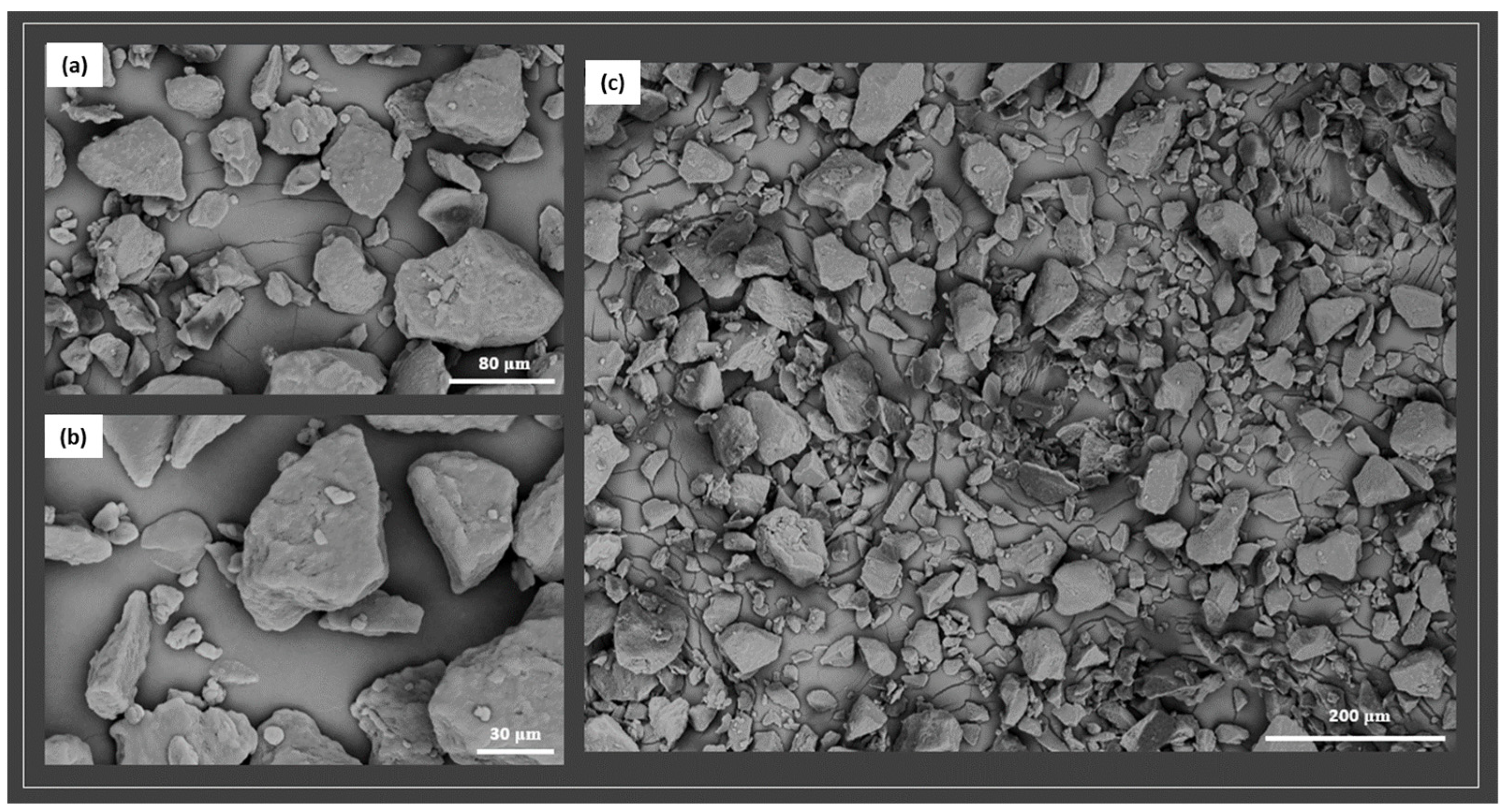 Polymers 17 03111 g001