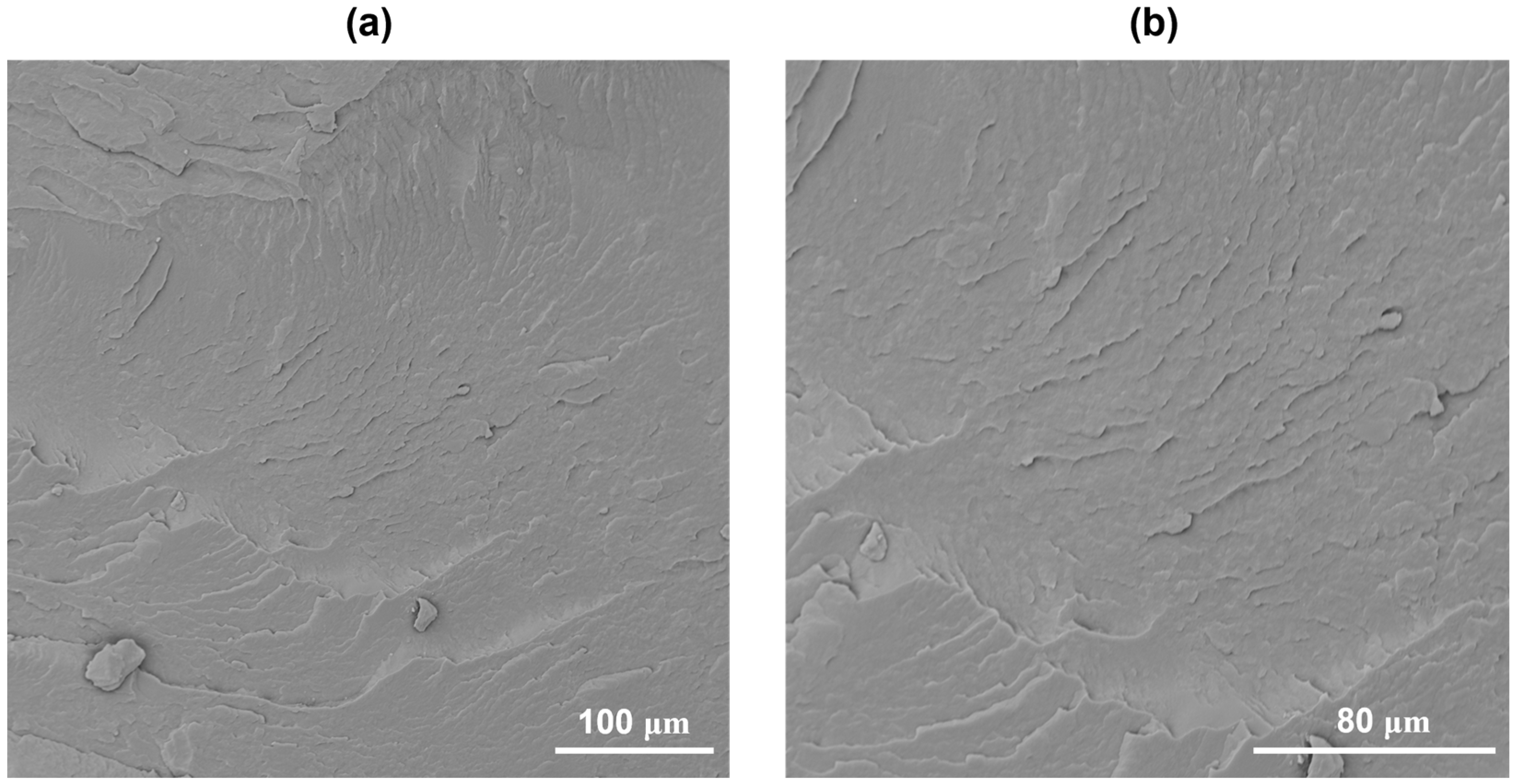 Polymers 17 03111 g005