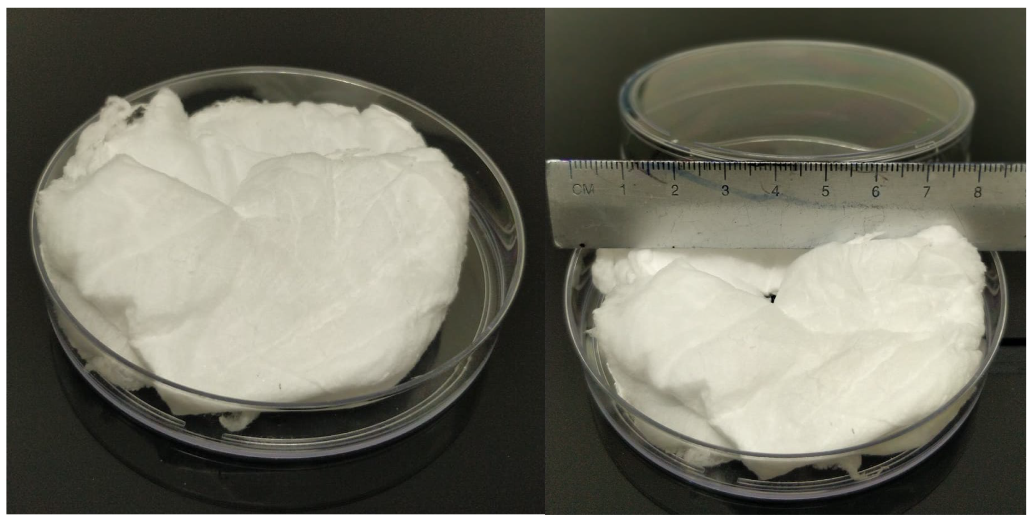 Polymers 17 03116 g003