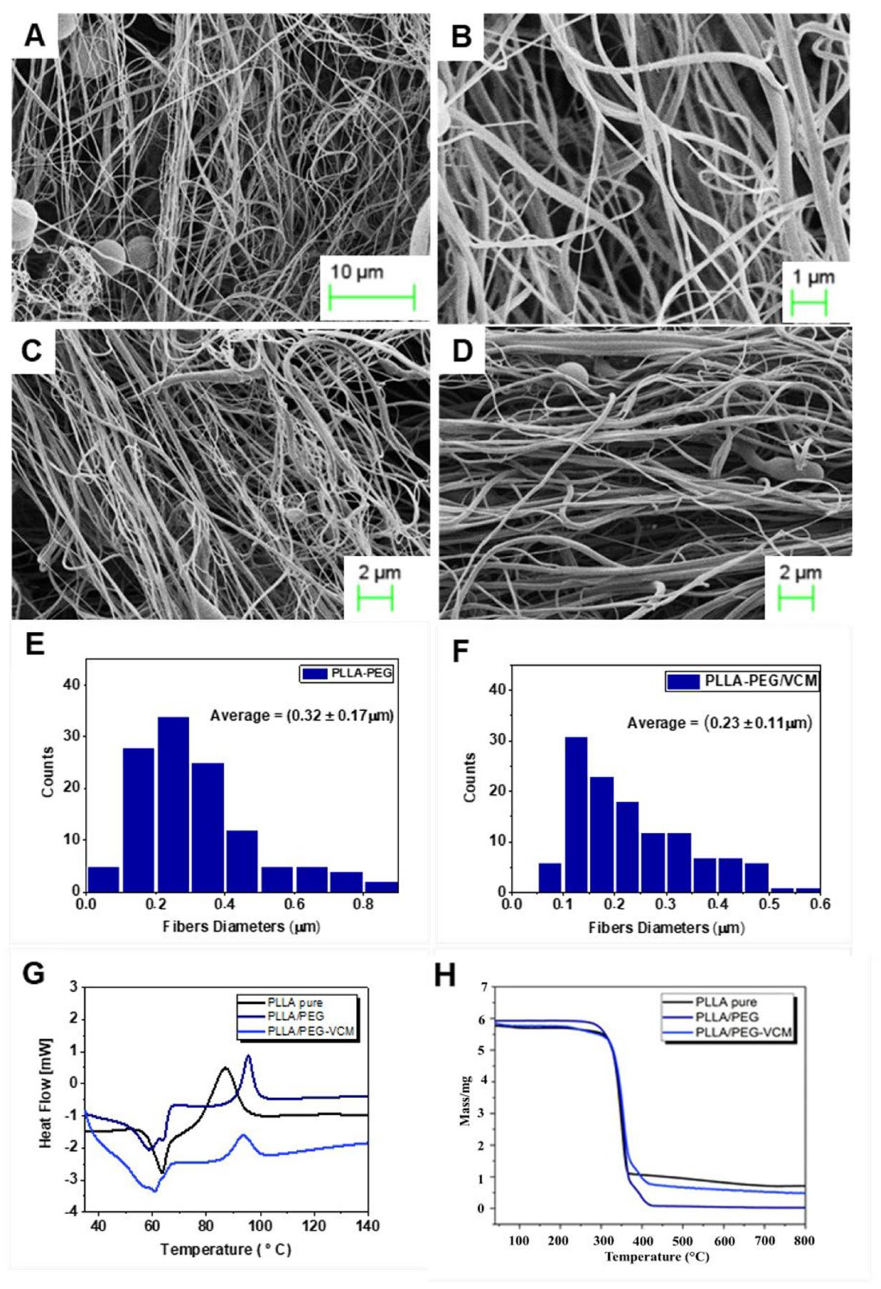 Polymers 17 03116 g004