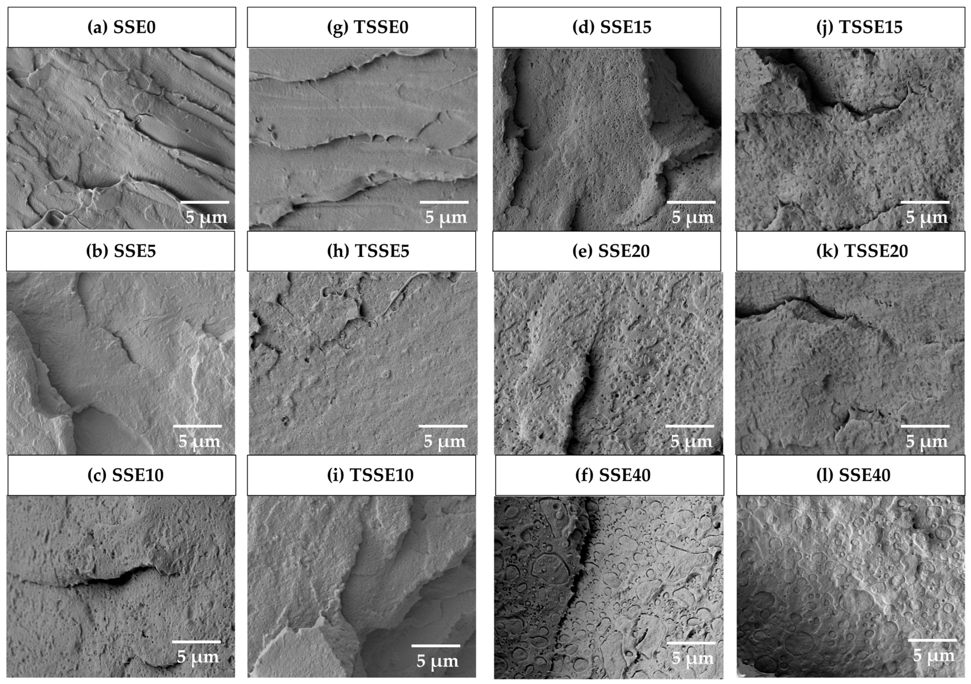 Polymers 17 03117 g006
