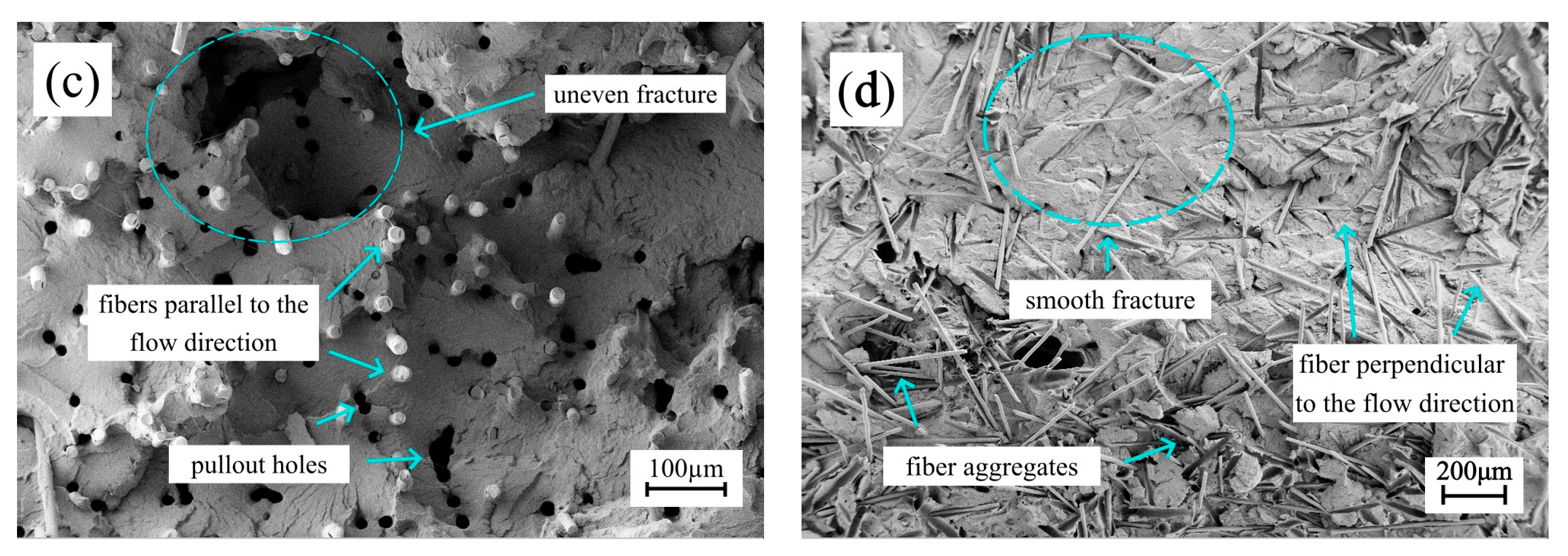 Polymers 17 03120 g006b