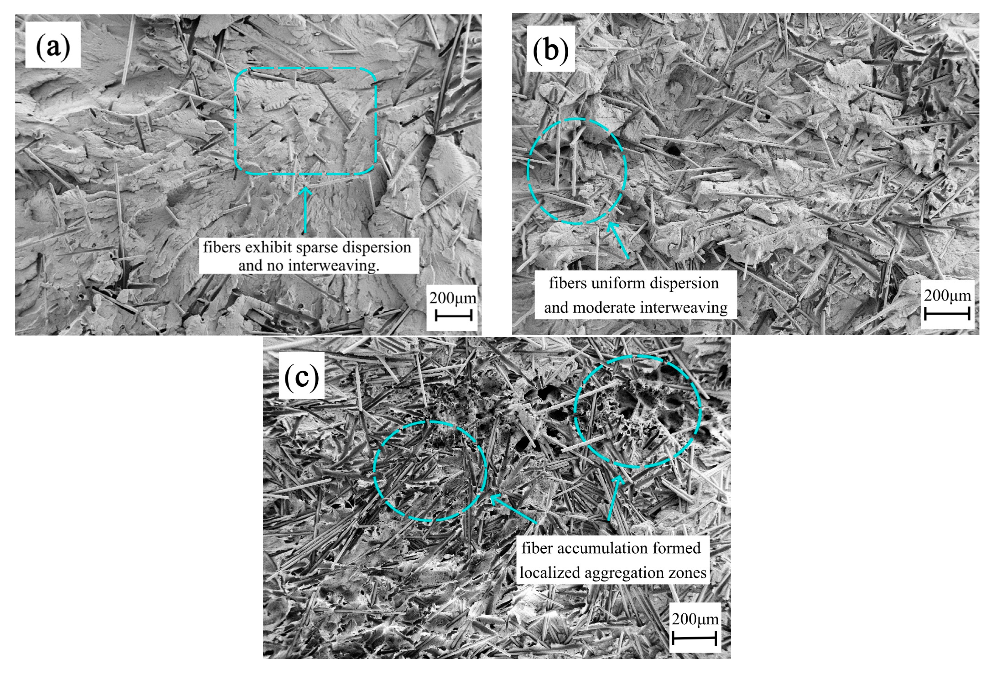 Polymers 17 03120 g009