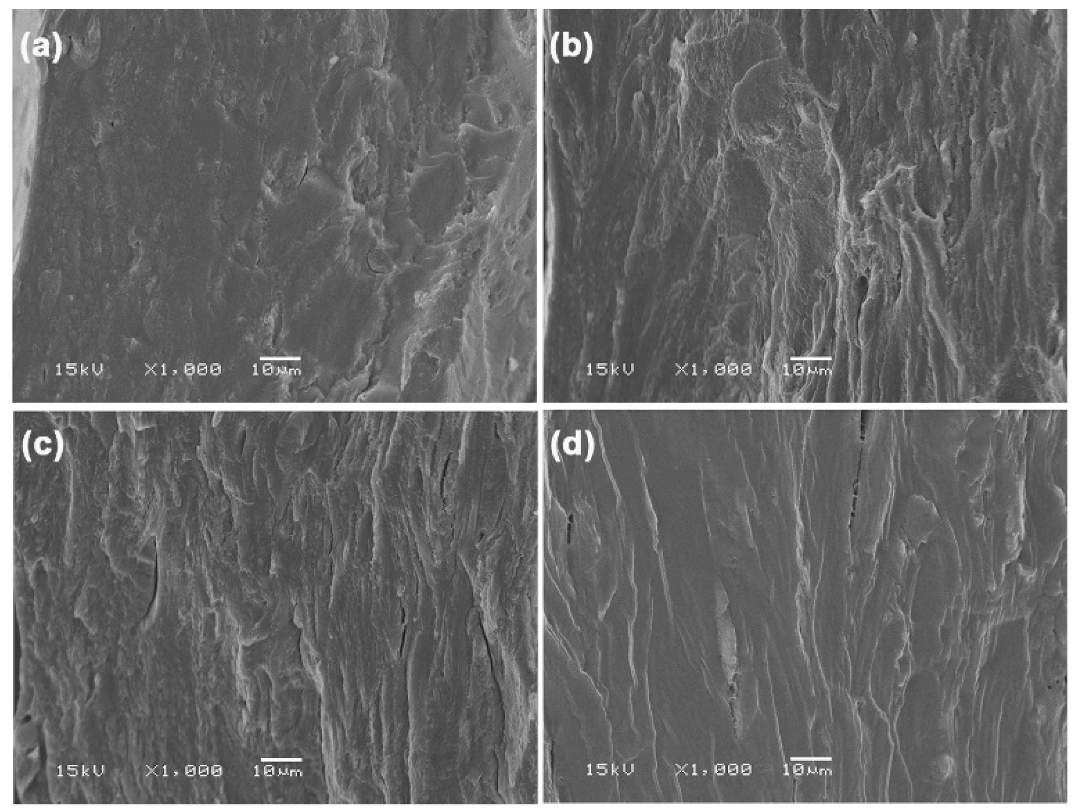 Polymers 17 03124 g006