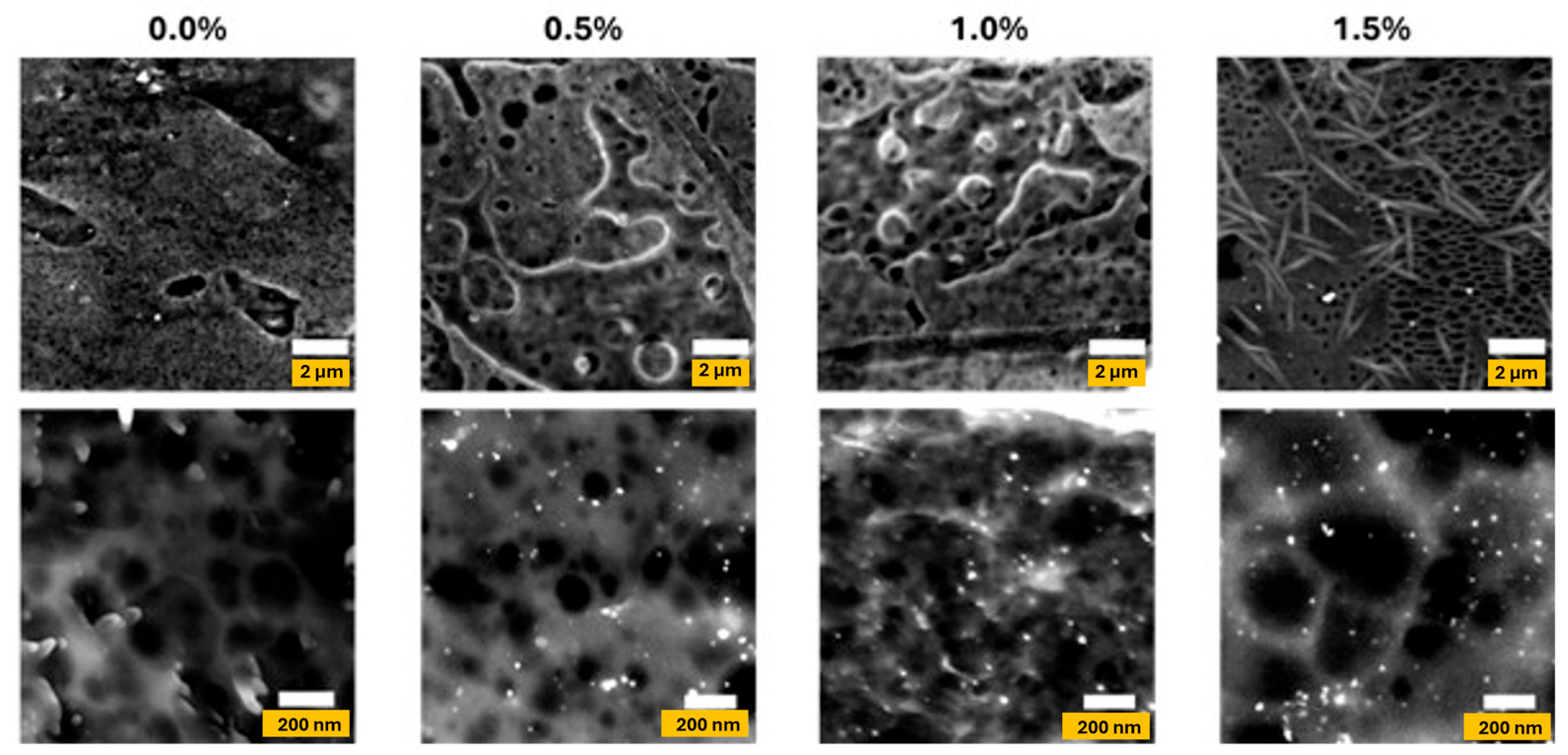 Polymers 17 03126 g006