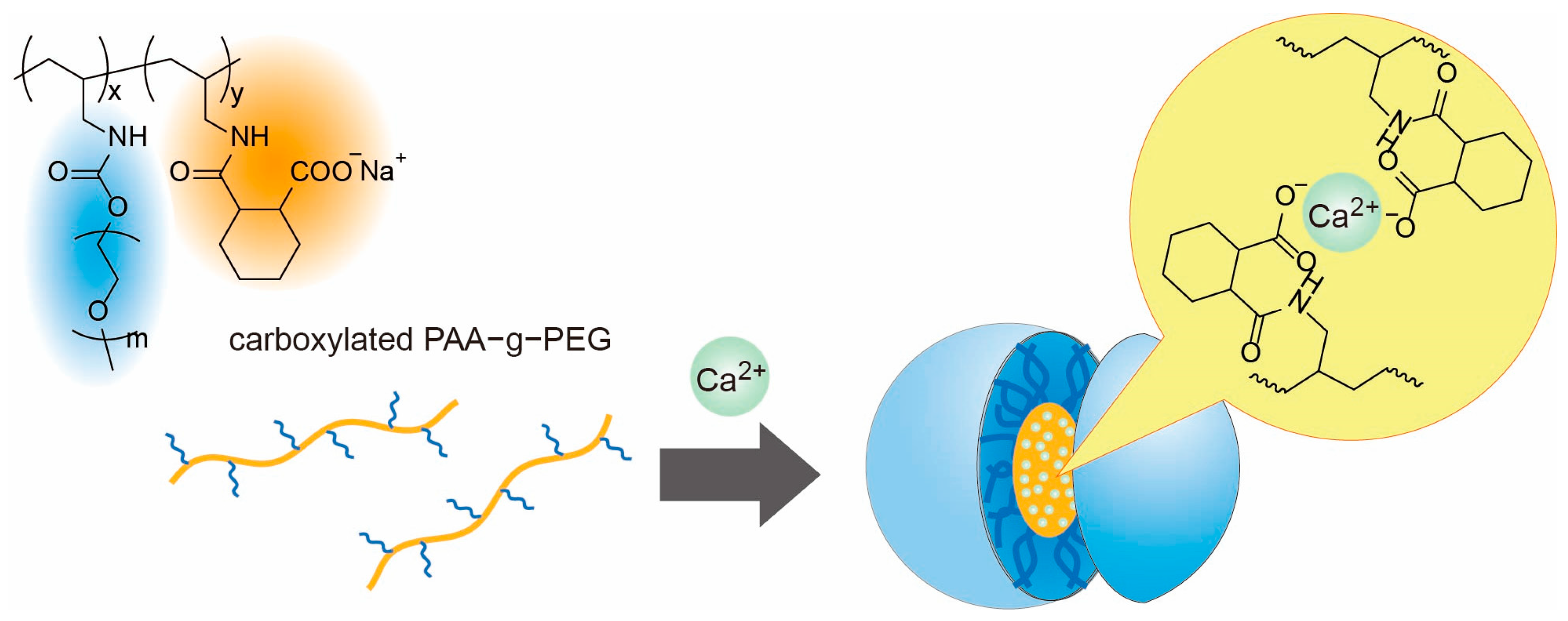 Polymers 17 03129 g001