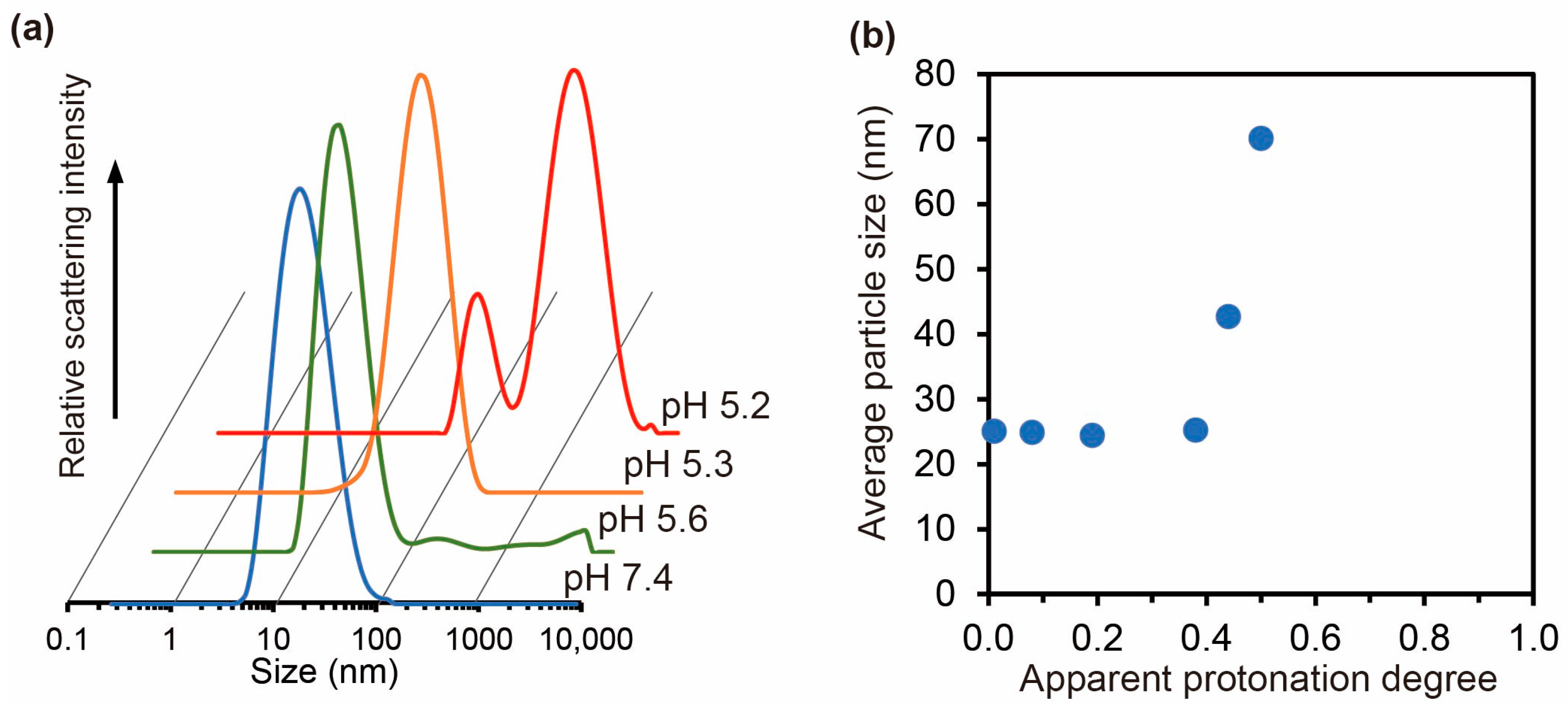 Polymers 17 03129 g005
