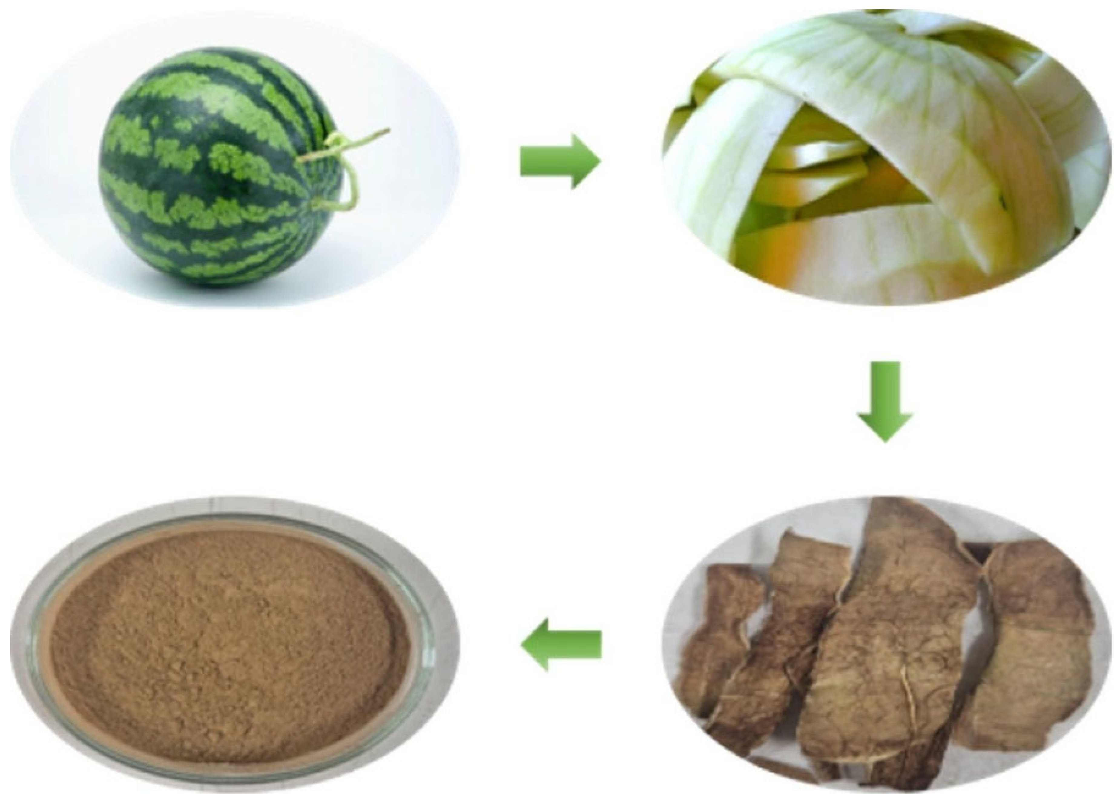 Polymers 17 03130 g001